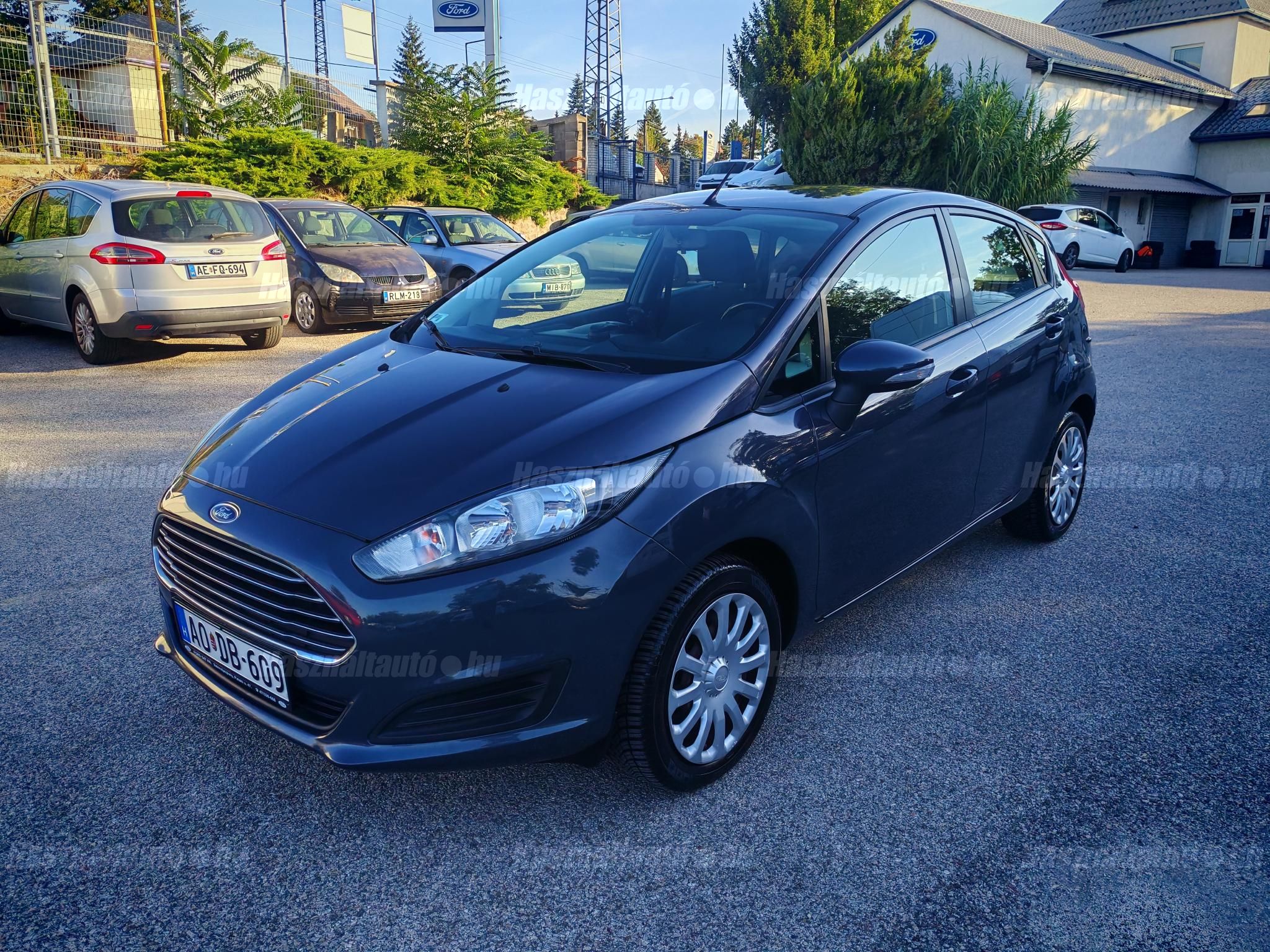 FORD FIESTA 2013/5 - 1