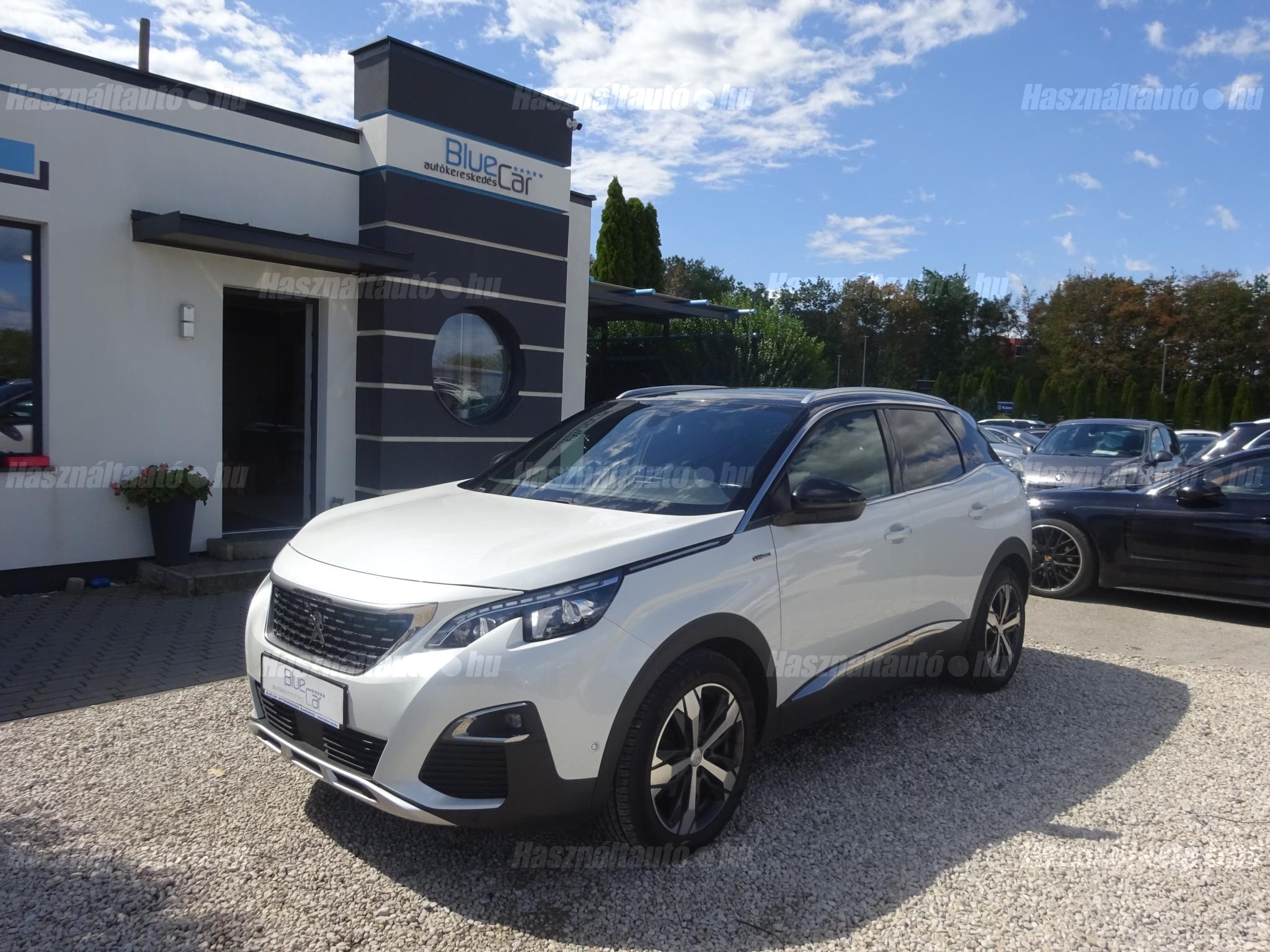 PEUGEOT 3008 2019/1 - 1