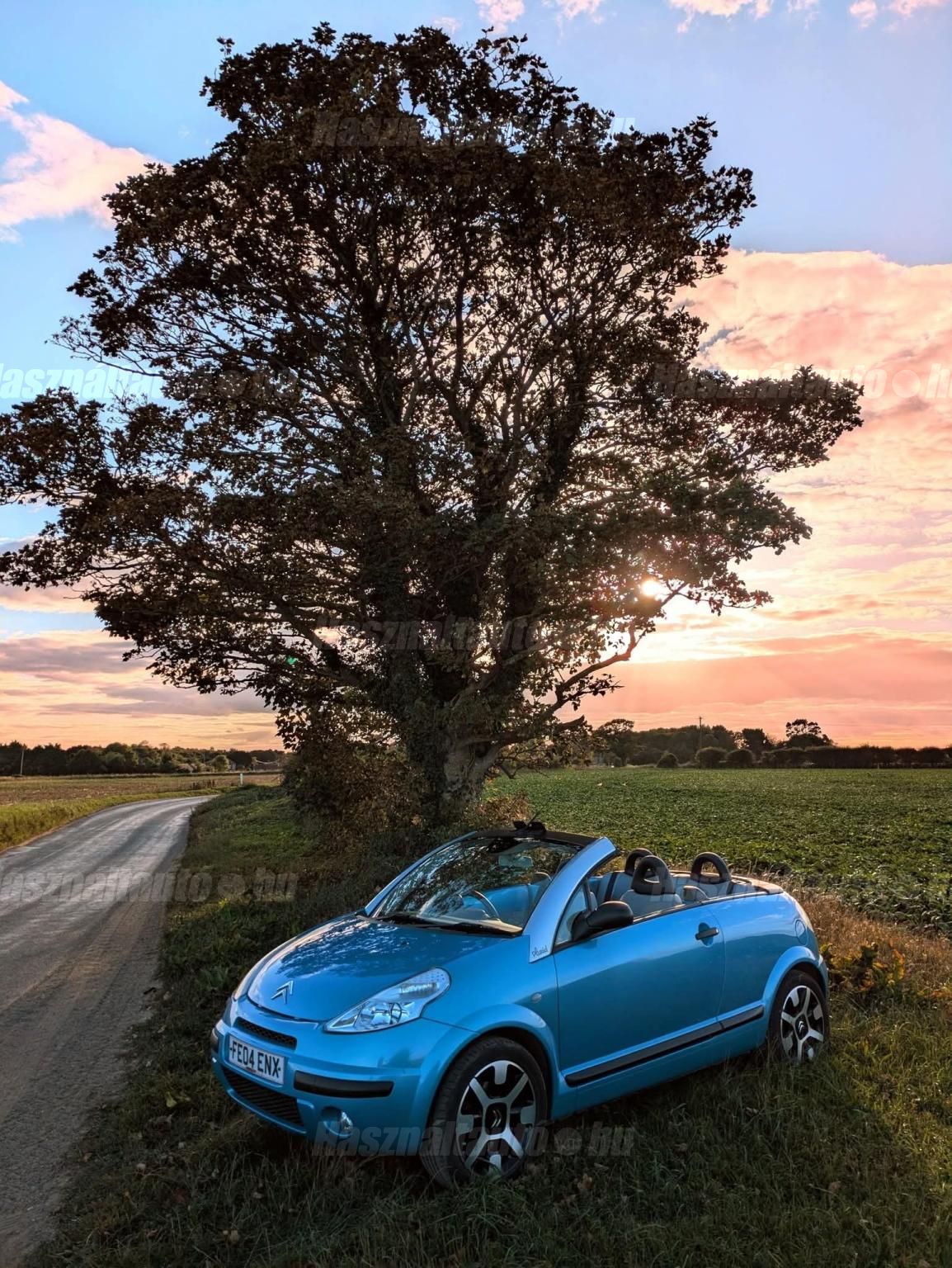 CITROEN C3 PLURIEL 2004/6 - 1