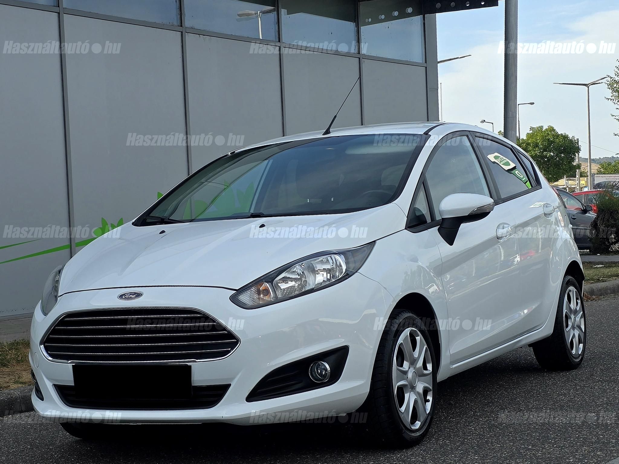 FORD FIESTA 2013/3 - 1