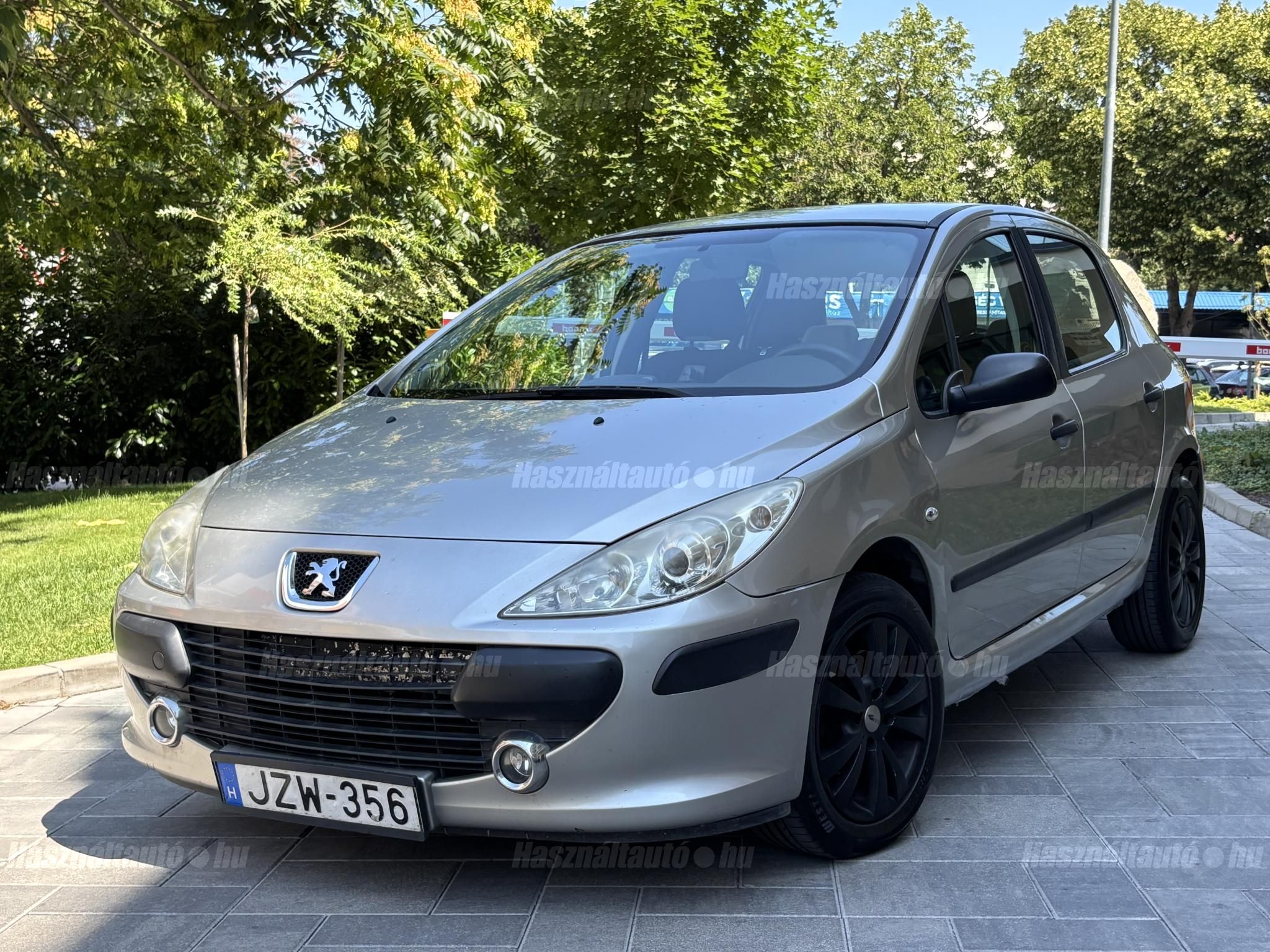 PEUGEOT 307 2006 - 1