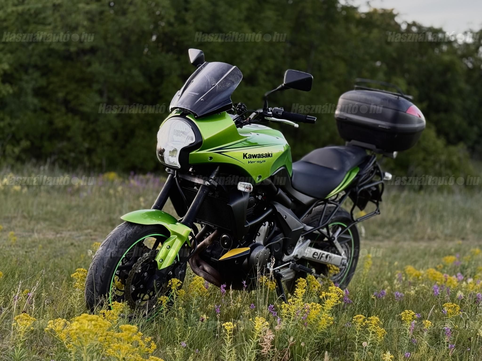 KAWASAKI VERSYS 650 2008/6 - 1