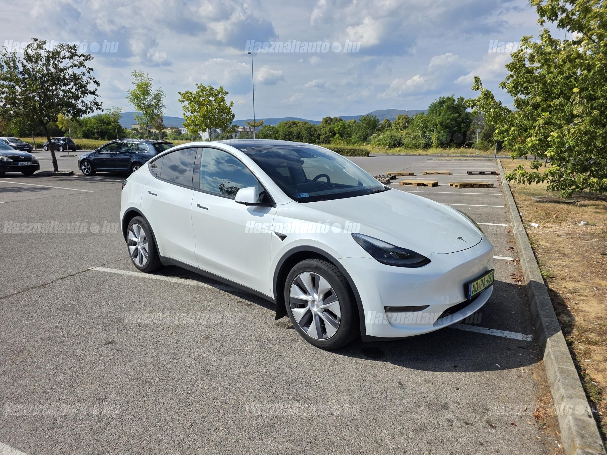 TESLA MODEL Y 2024/1 - 1