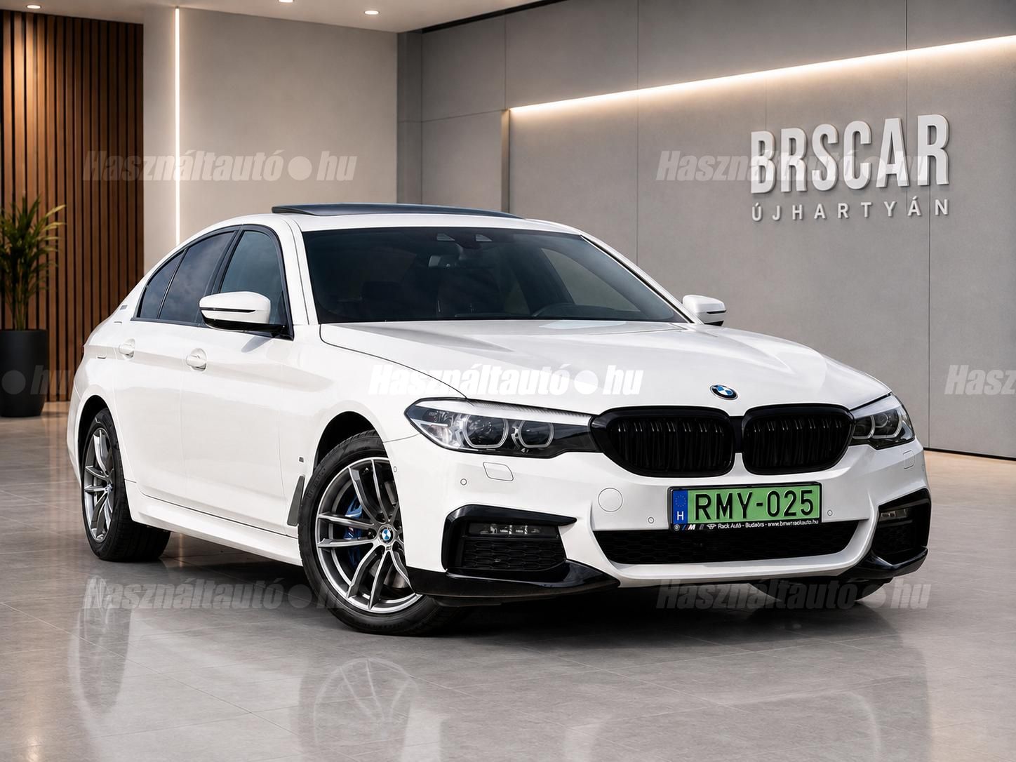 BMW 530 2019/5 - 1