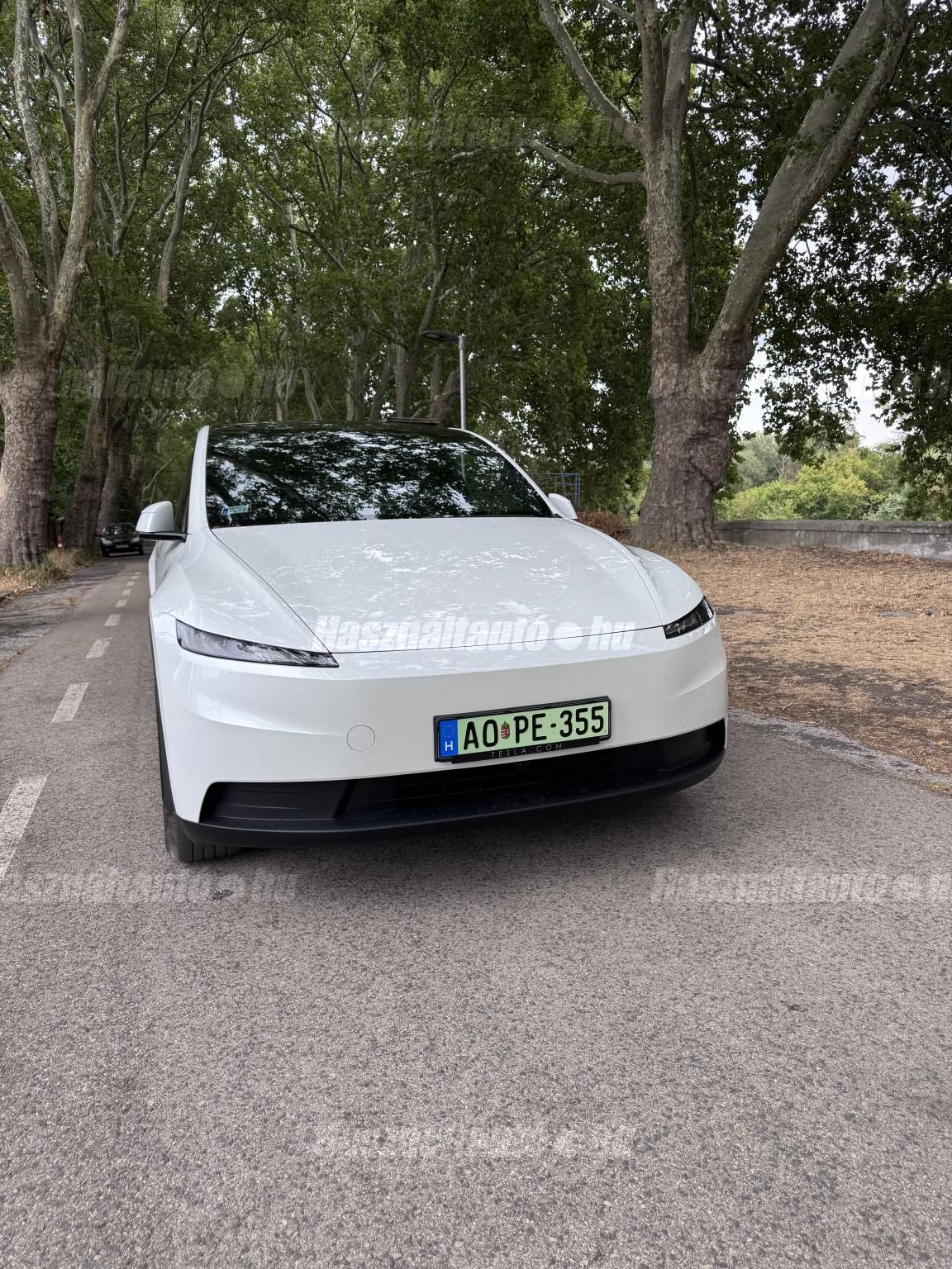 TESLA MODEL Y 2026/5 - 1