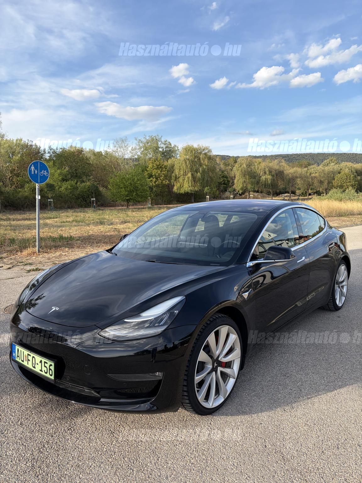 TESLA MODEL 3 2019/3 - 1