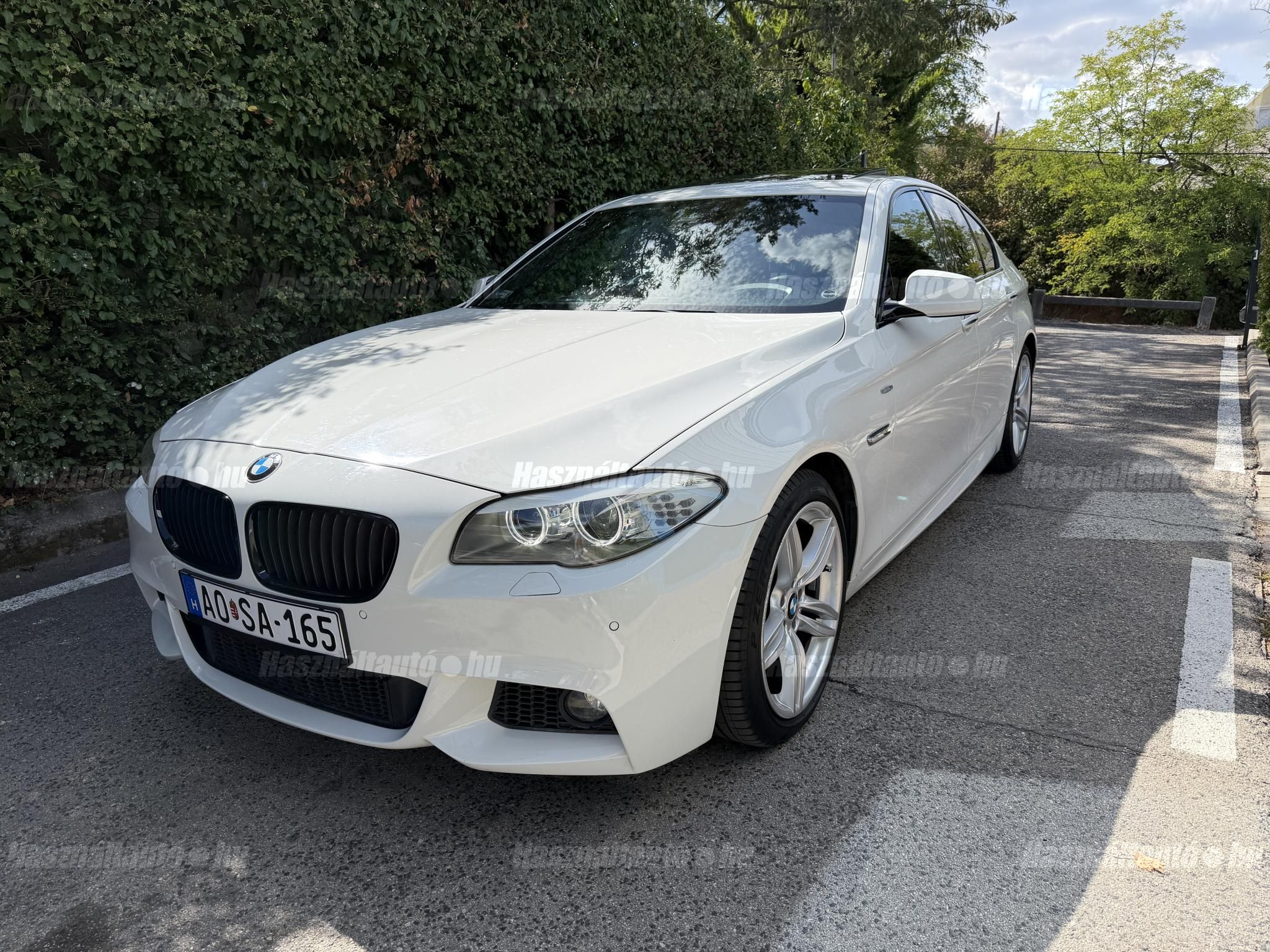 BMW 530 2013/6 - 1
