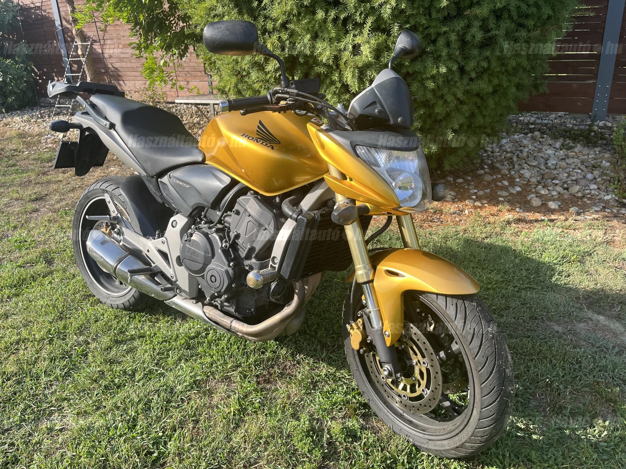 HONDA CB 600 F (HORNET) 2008/1 - 1