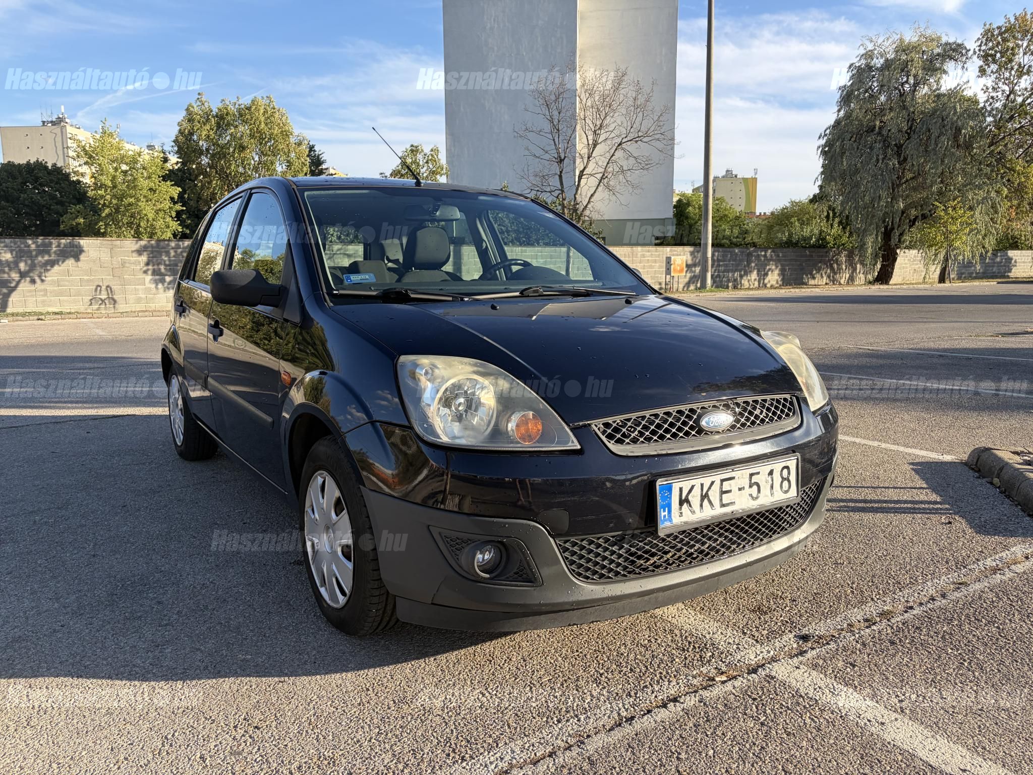 FORD FIESTA 2006/10 - 1