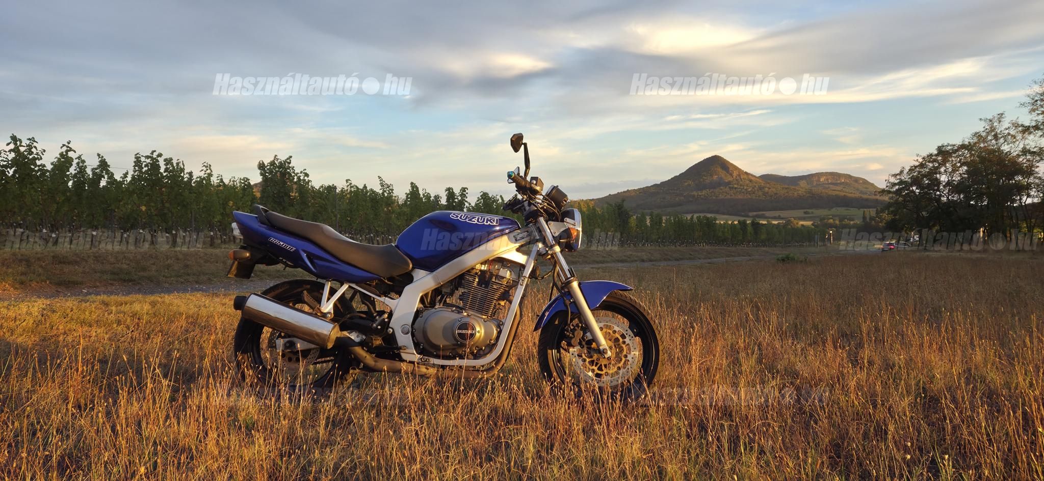 SUZUKI GS 500 E 2003/4 - 1