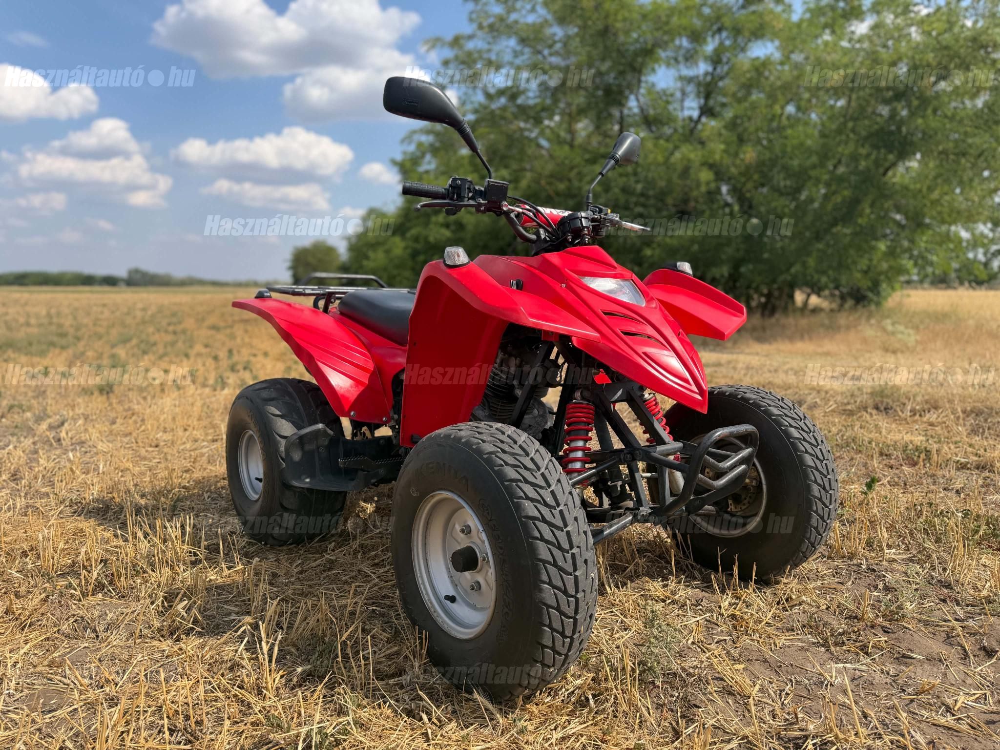 ADLY ATV 300 2004/4 - 1
