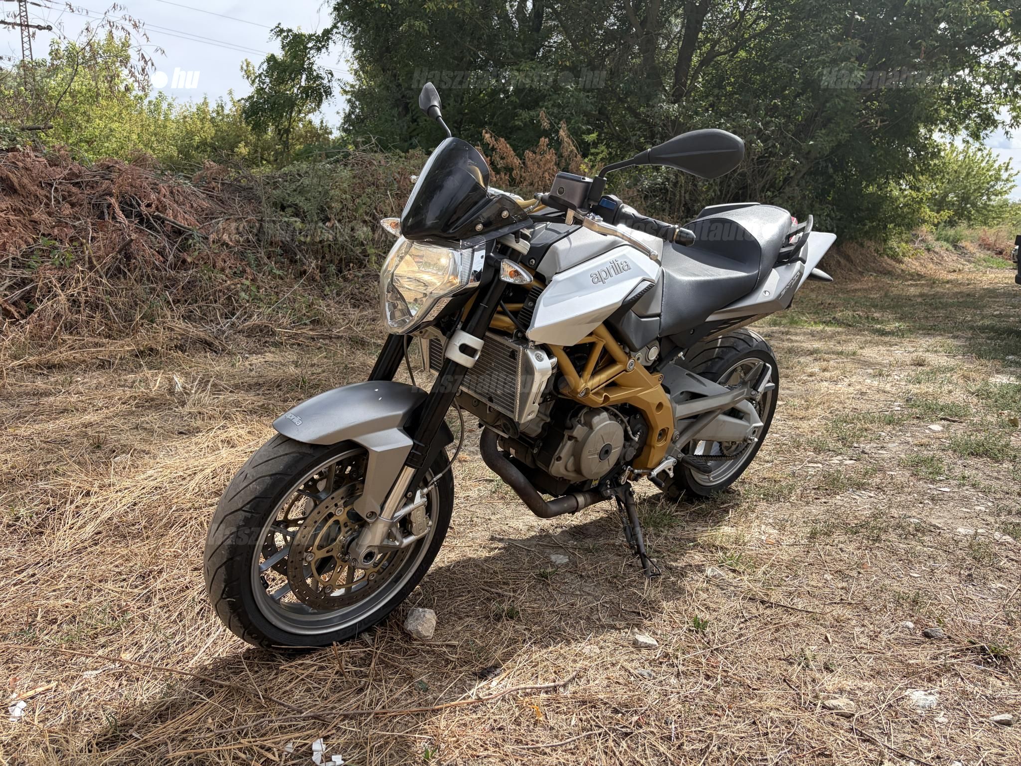 APRILIA SHIVER 2009/7 - 1
