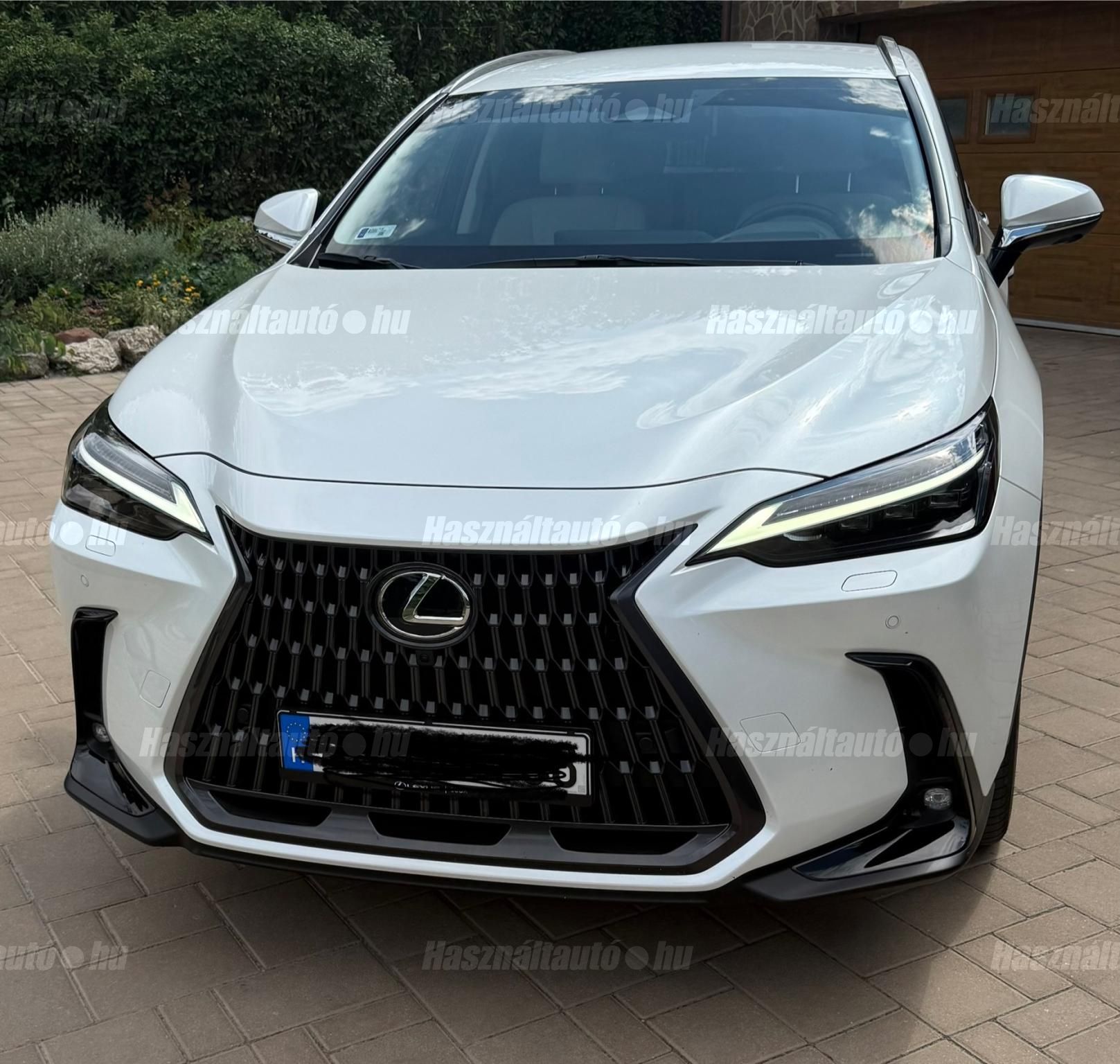 LEXUS NX 2024 - 1