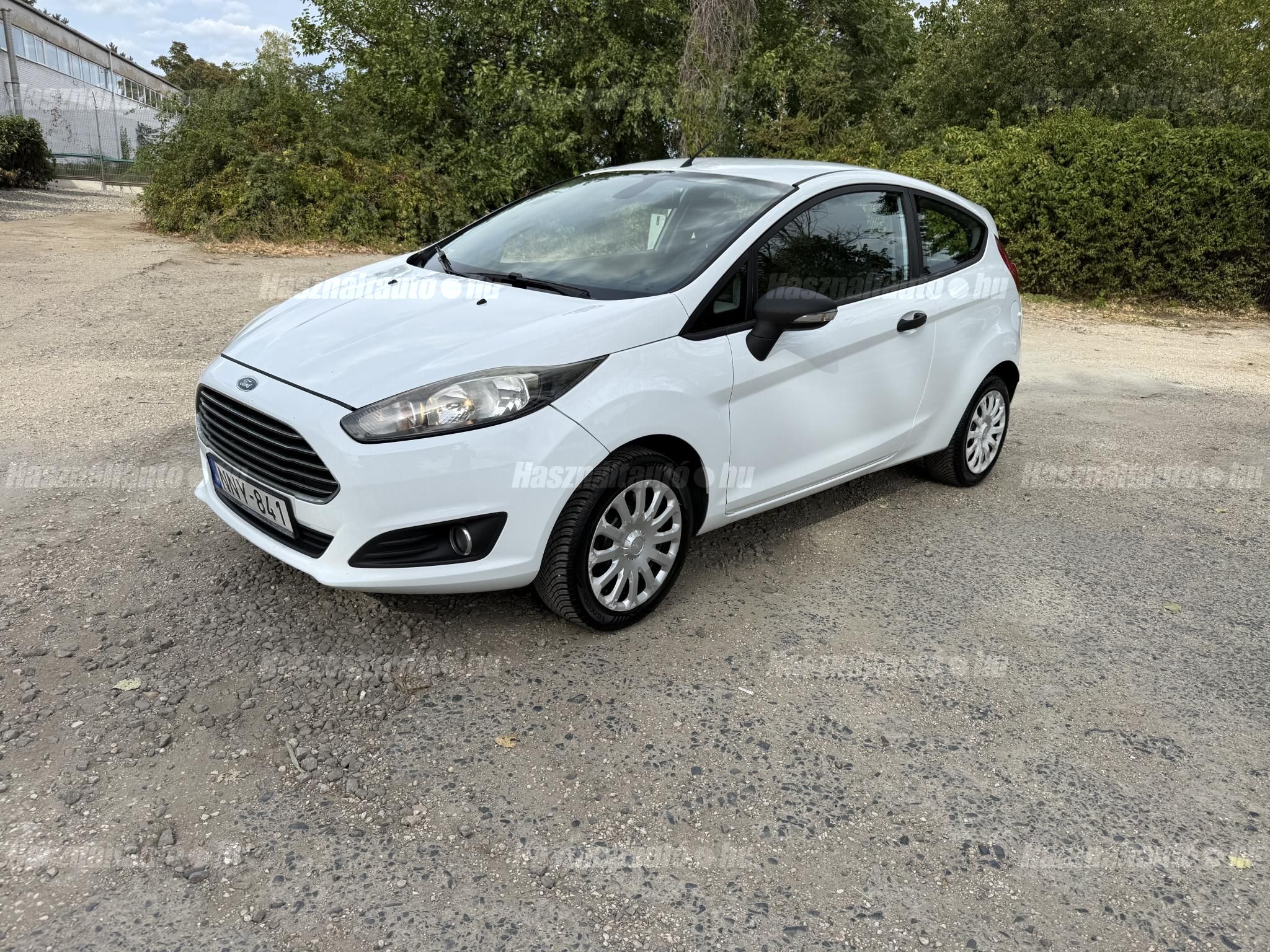 FORD FIESTA 2013 - 1