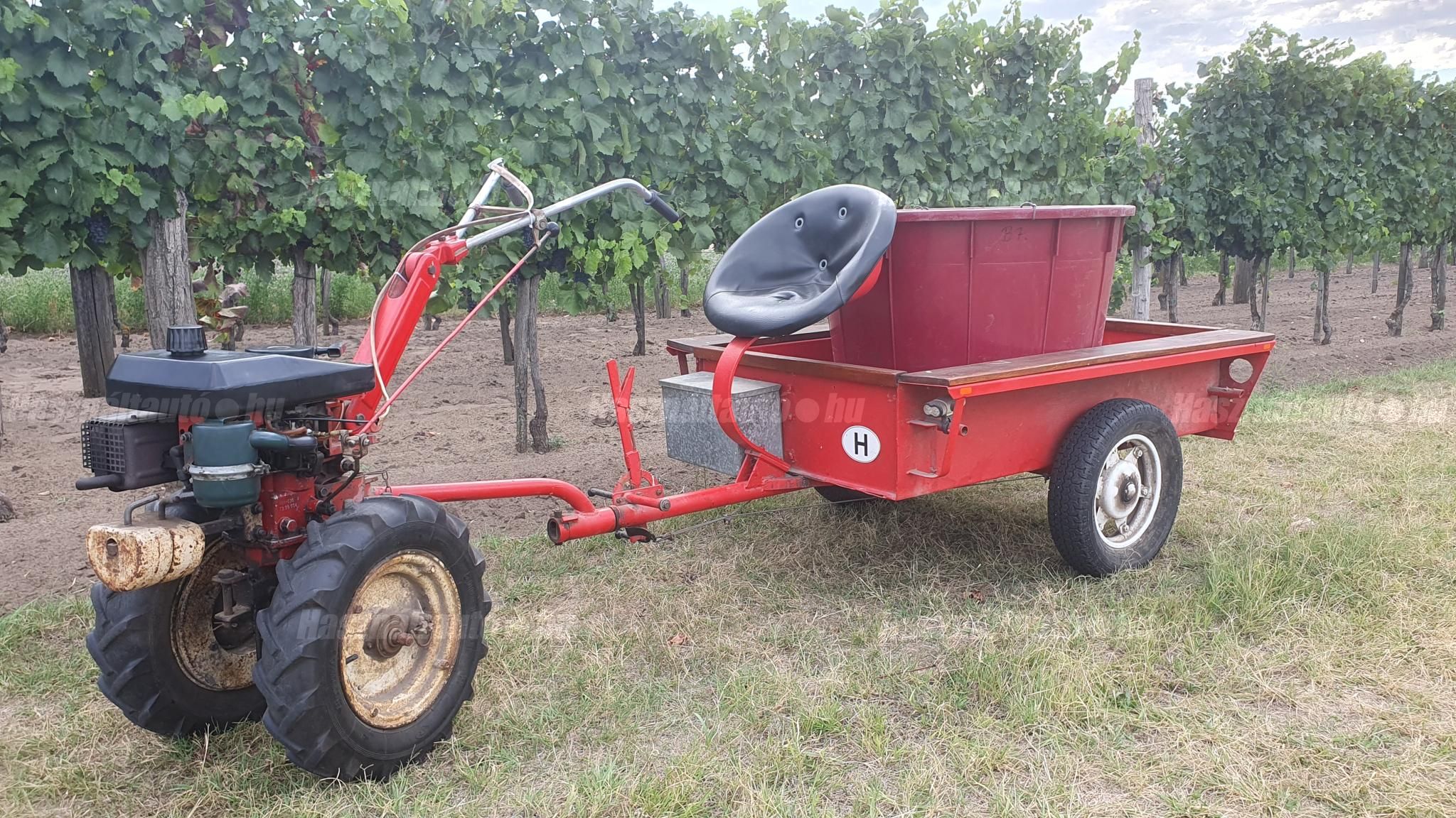 TERRA 1984 - 1