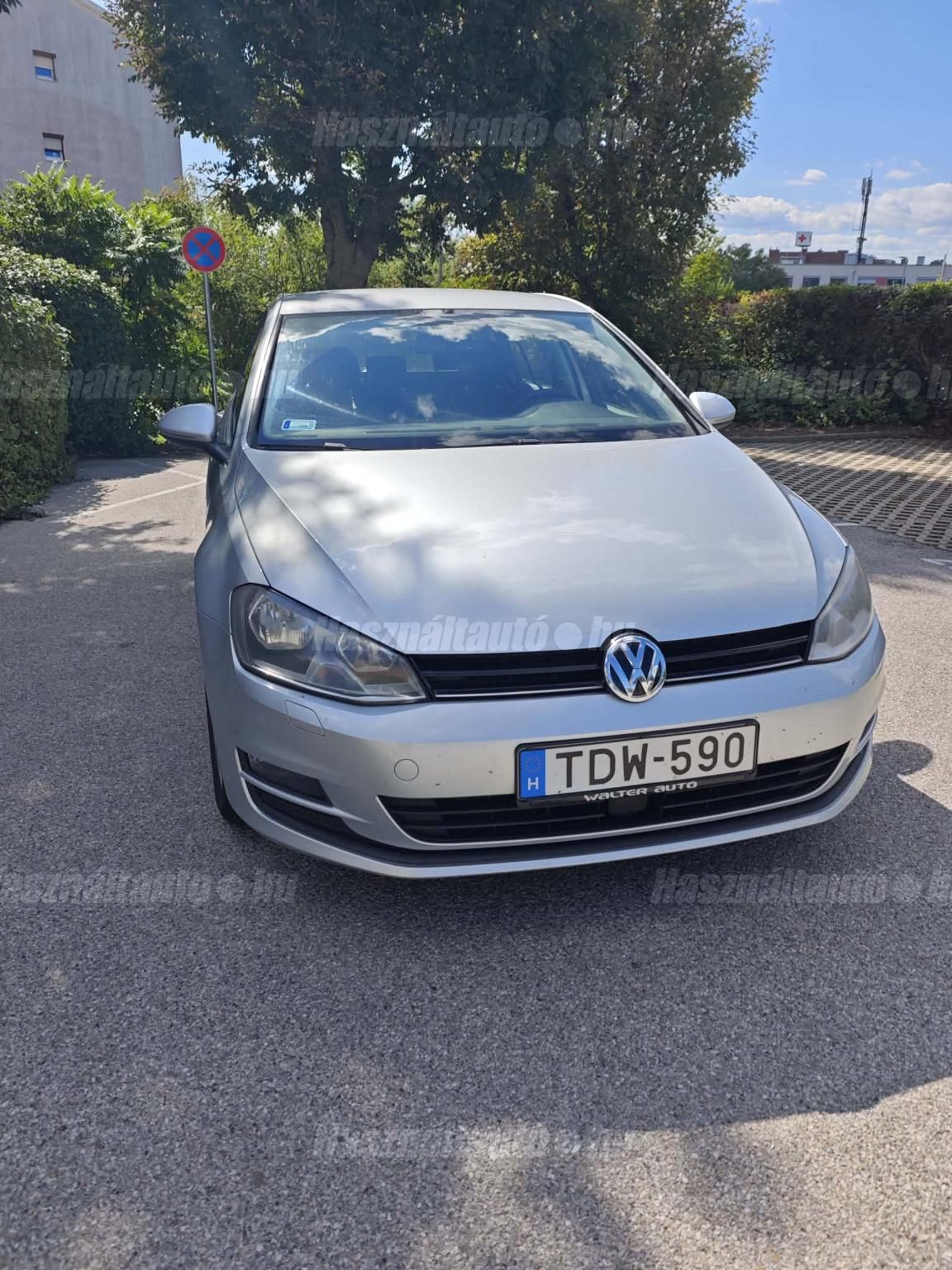 VOLKSWAGEN GOLF VII 2013 - 1