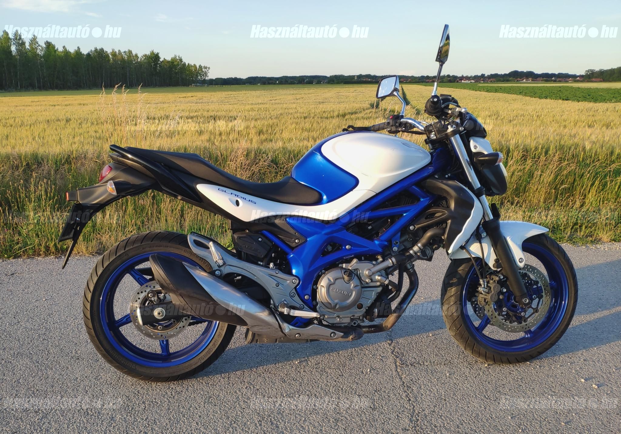 SUZUKI SFV 2012/6 - 1