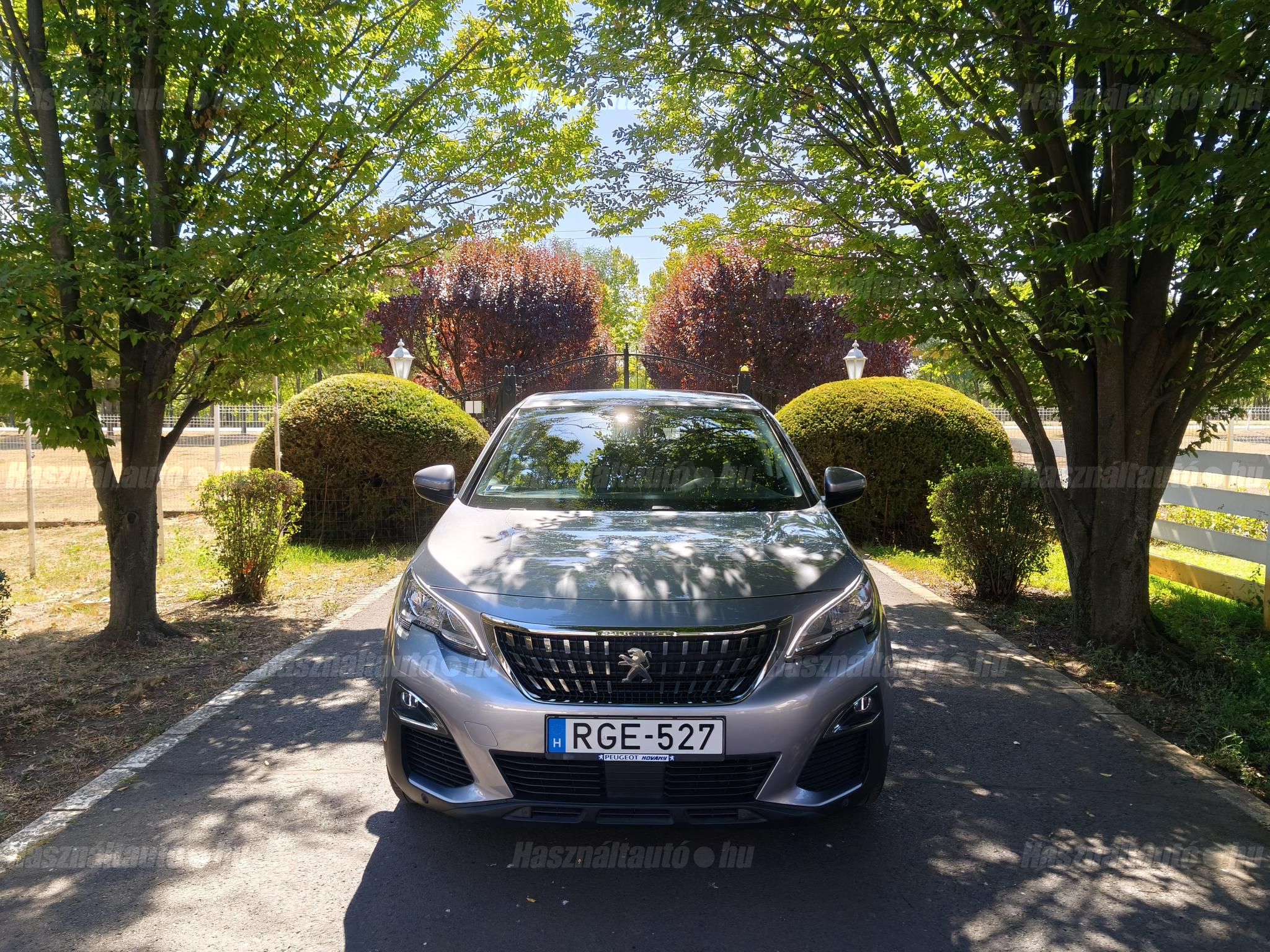PEUGEOT 3008 2019/1 - 1