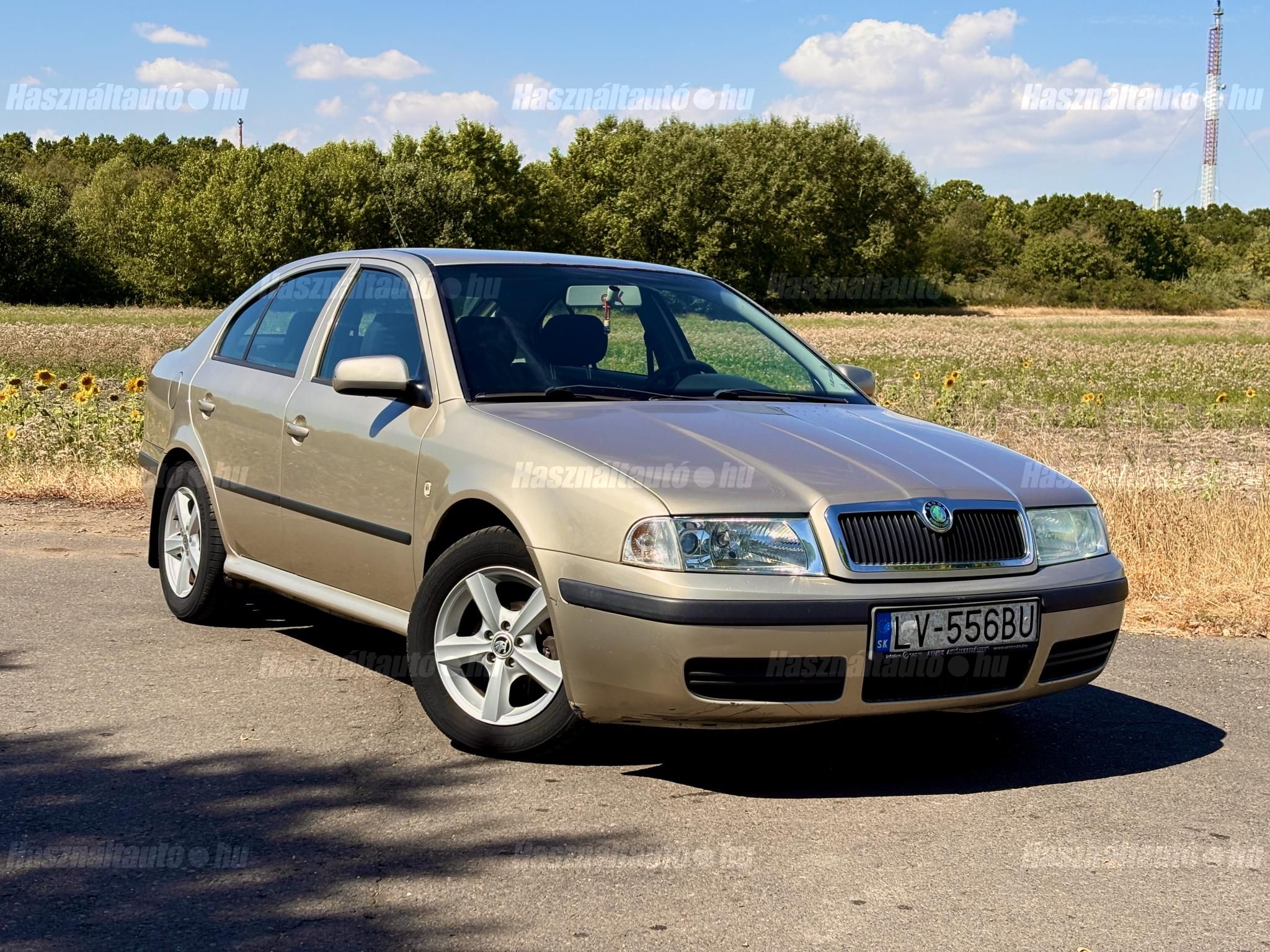 SKODA OCTAVIA 2006/1 - 1