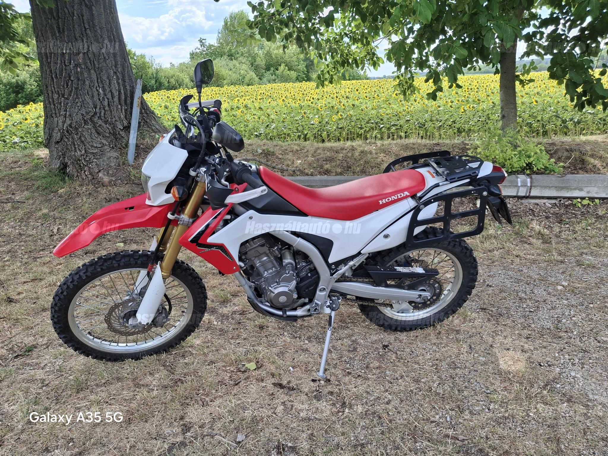 HONDA CRF 250 L 2013/3 - 1