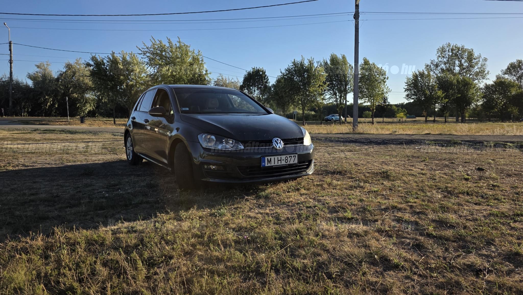 VOLKSWAGEN GOLF VII 2013 - 1
