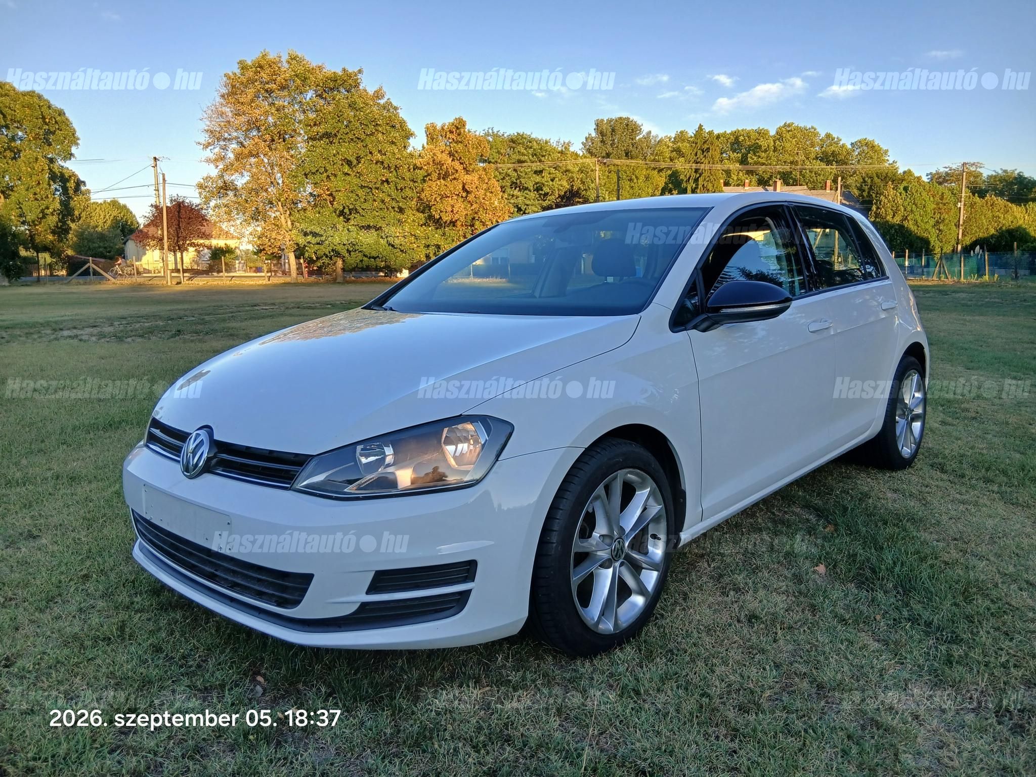 VOLKSWAGEN GOLF VII 2013/8 - 1