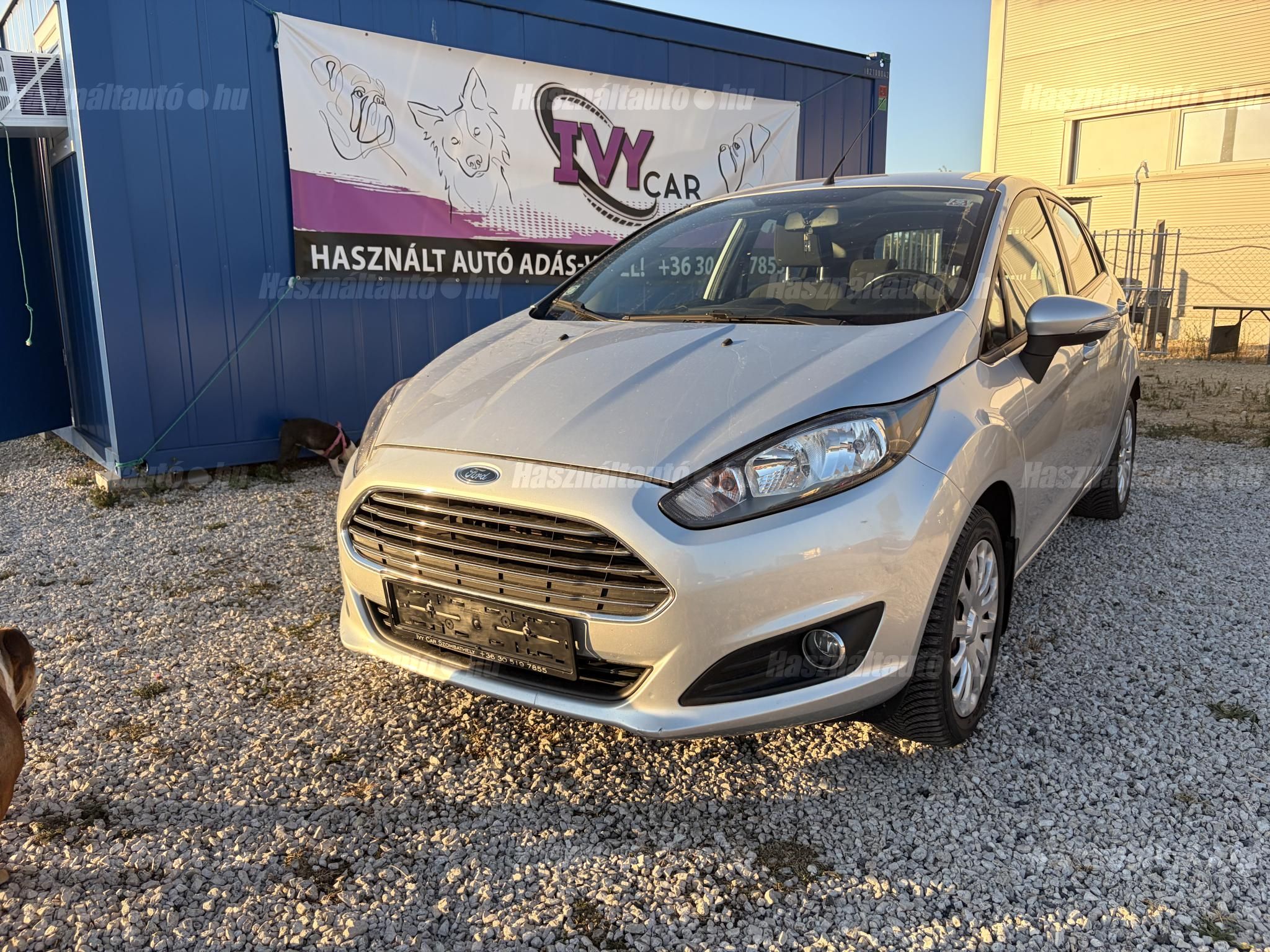 FORD FIESTA 2013/6 - 1