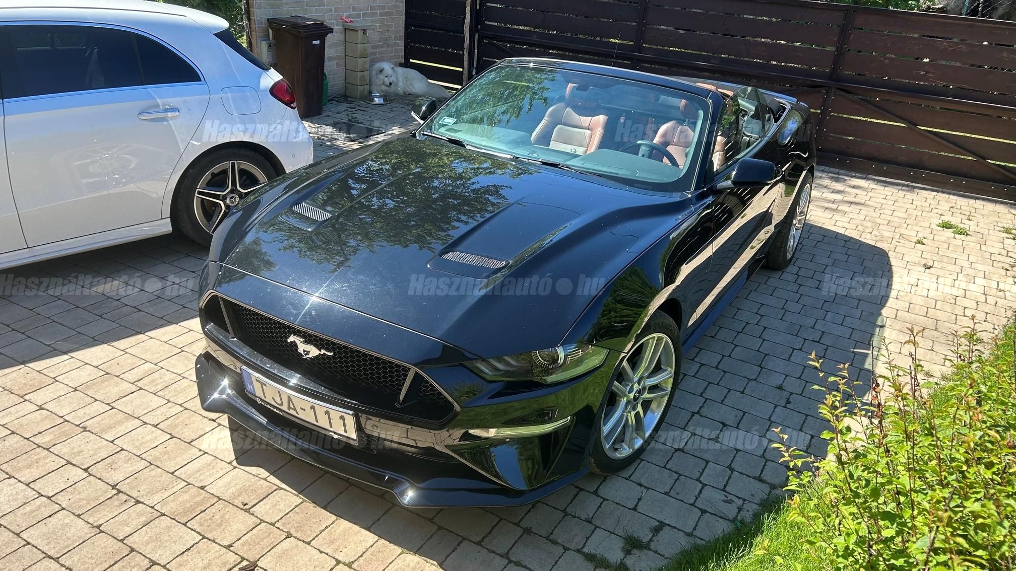 FORD MUSTANG 2019/7 - 1