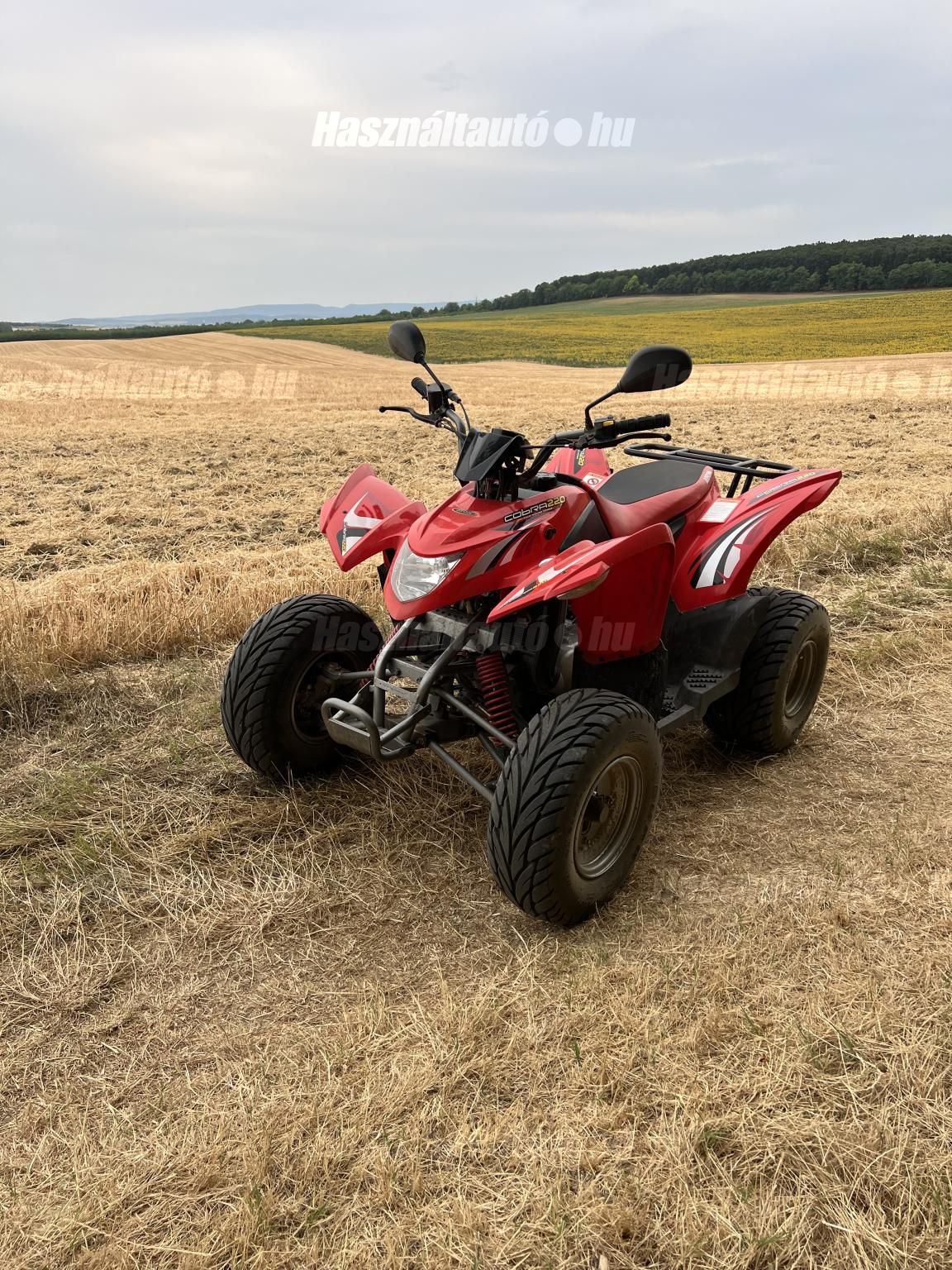 AEON COBRA 220 2005/5 - 1
