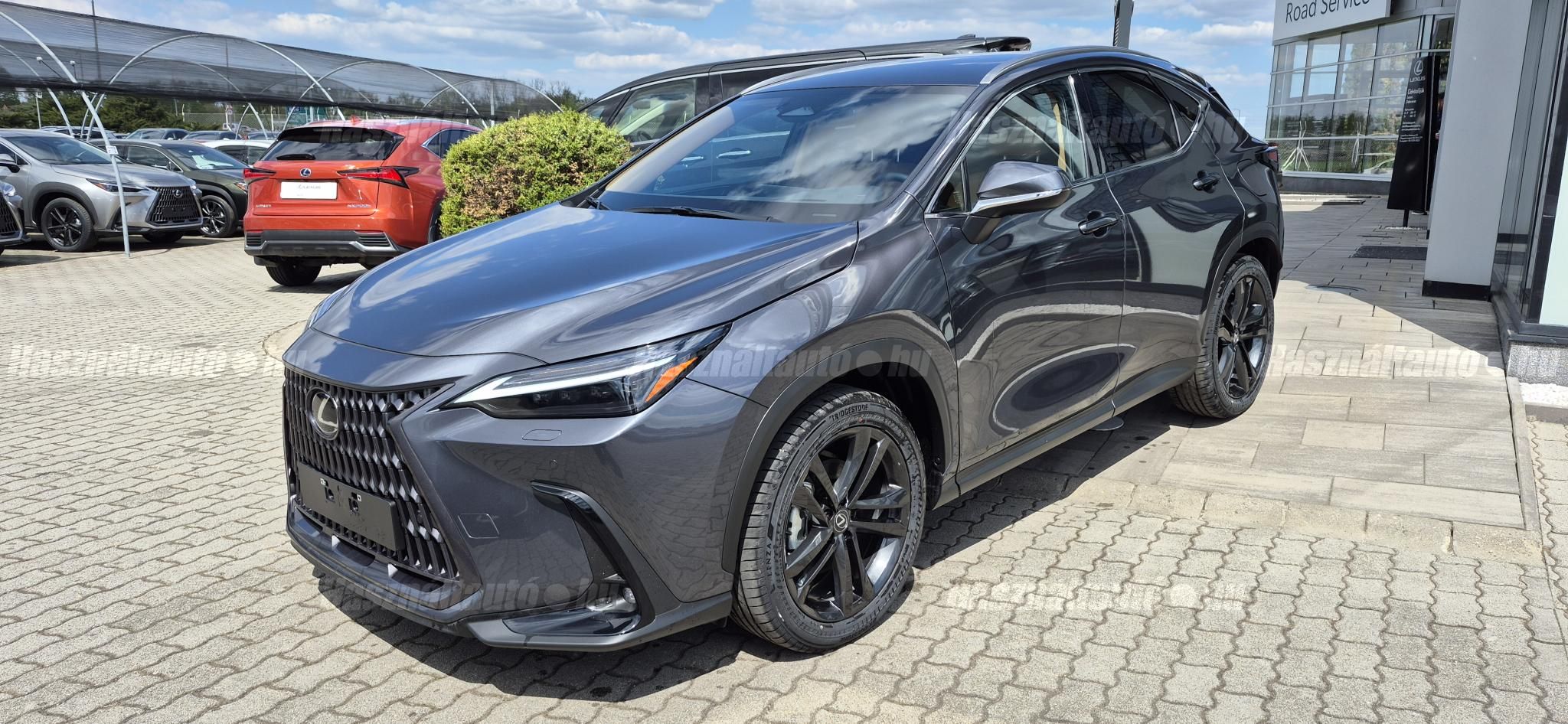 LEXUS NX 2026 - 1