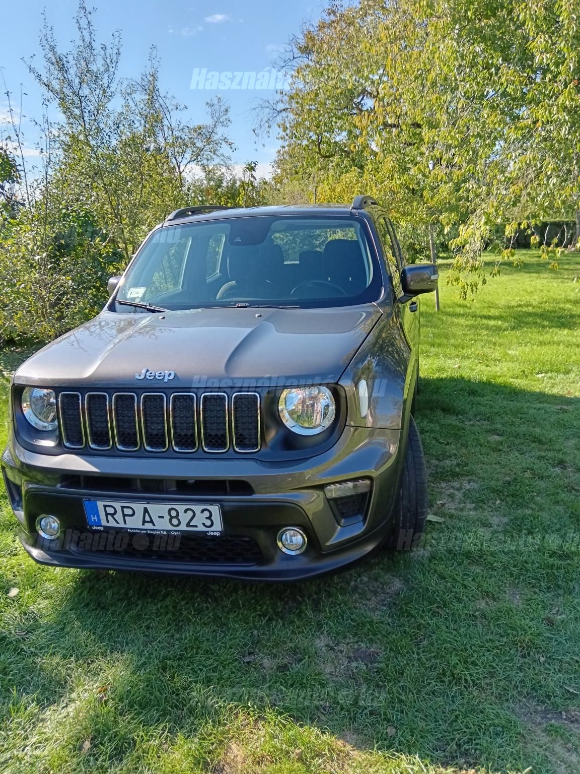 JEEP RENEGADE 2019 - 1