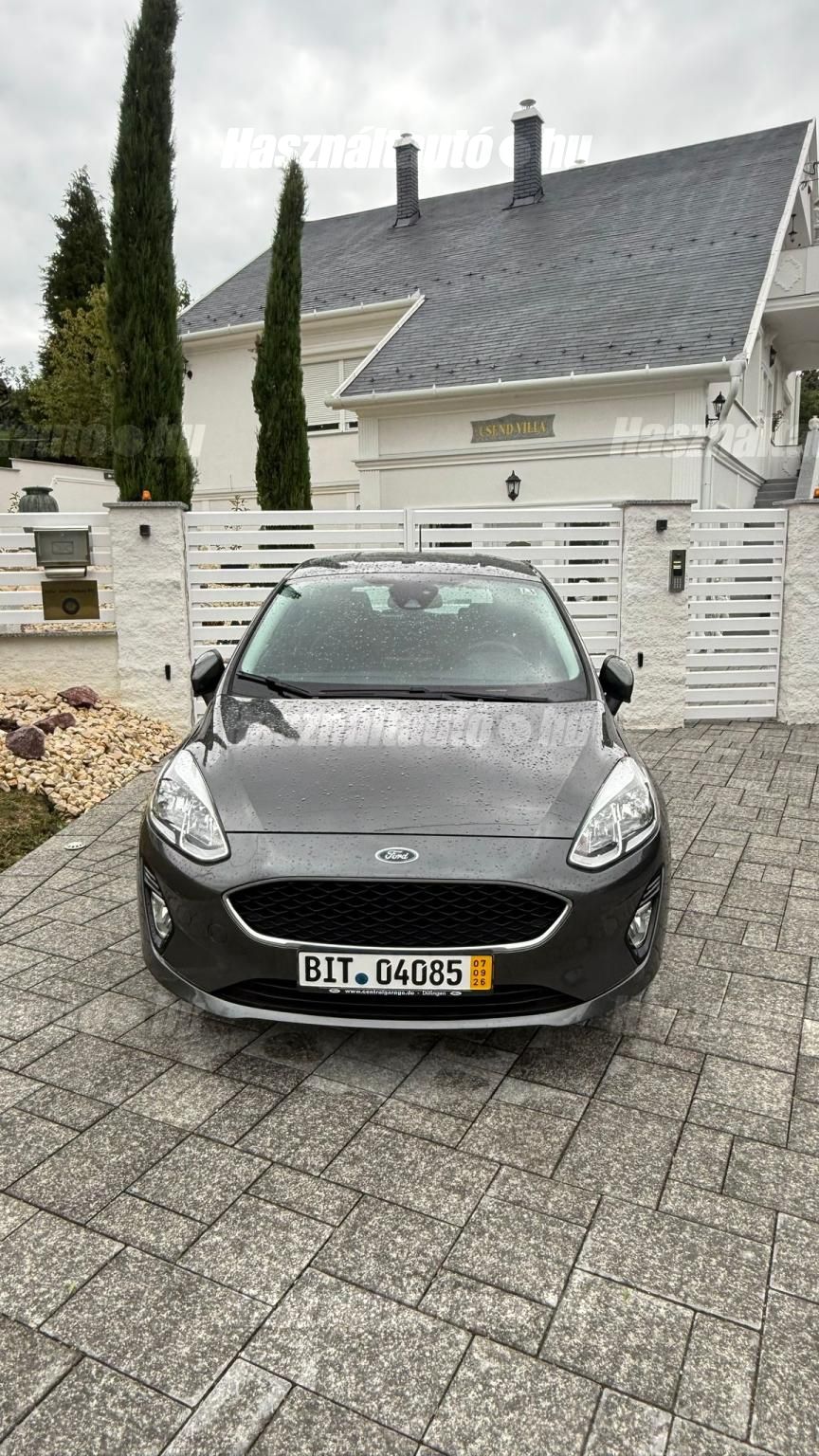 FORD FIESTA 2019/1 - 1