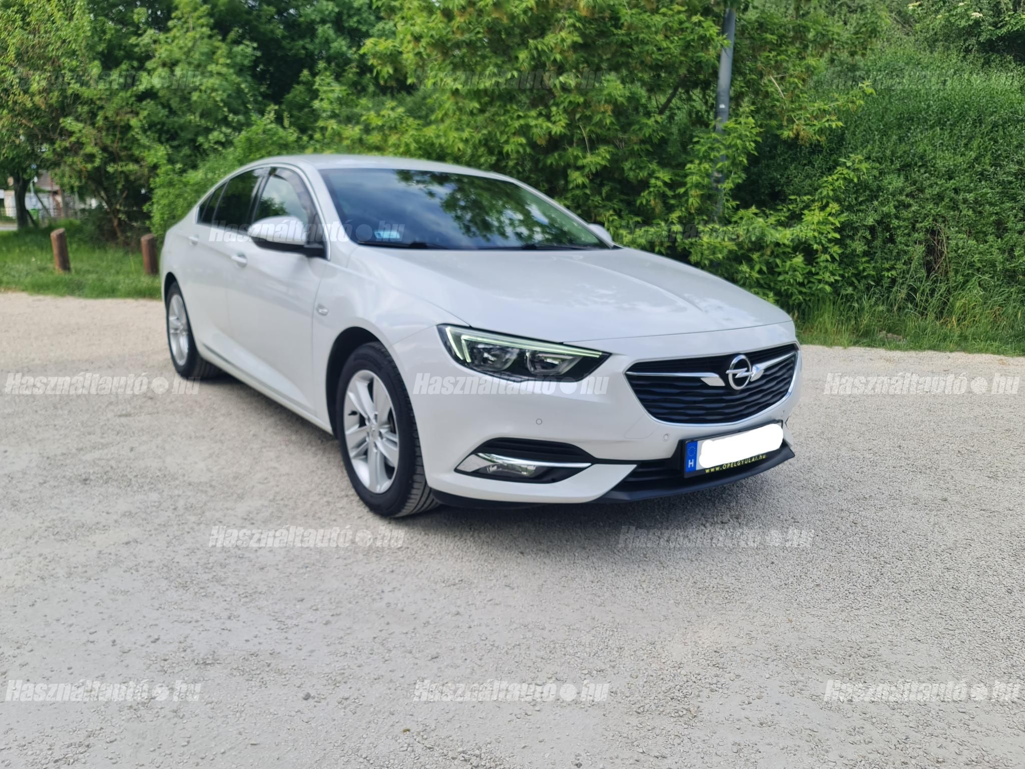 OPEL INSIGNIA 2019 - 1