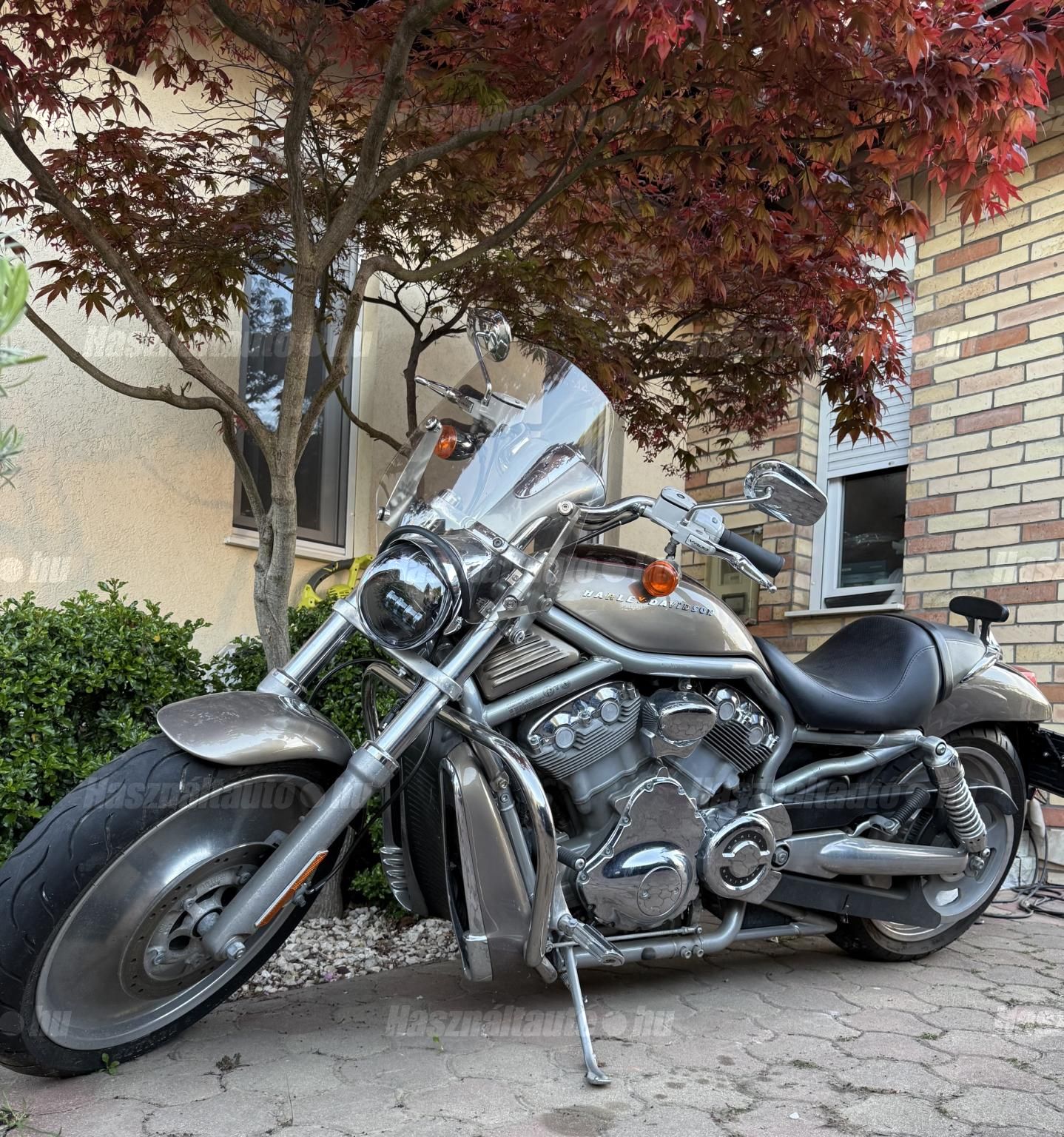 HARLEY-DAVIDSON V-ROD (VRSCA) 2004/12 - 1