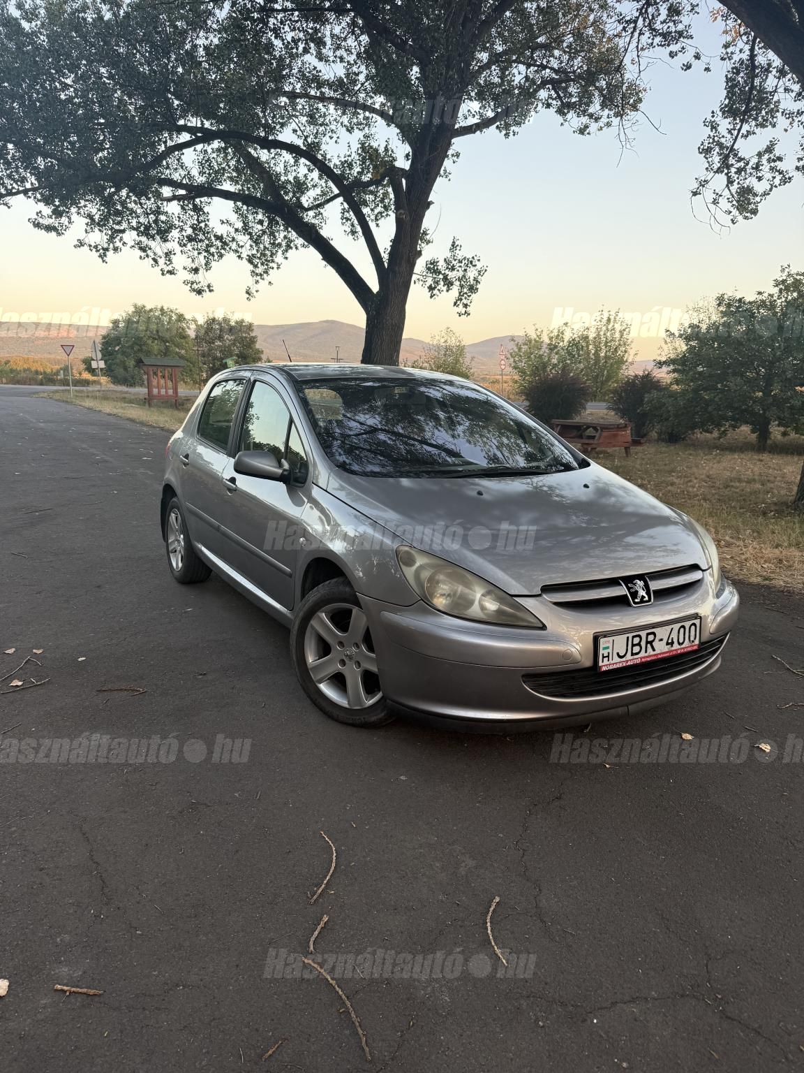 PEUGEOT 307 2004/3 - 1