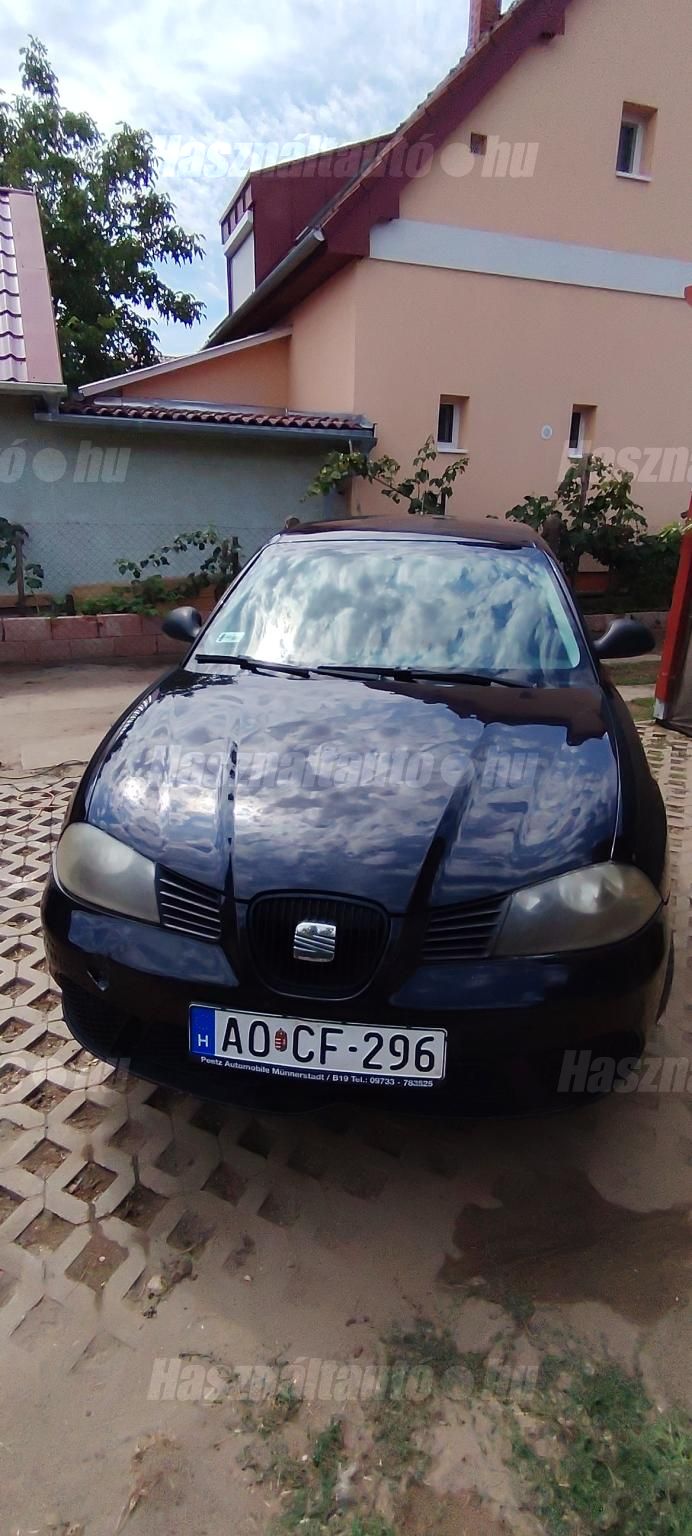 SEAT IBIZA 2008/5 - 1
