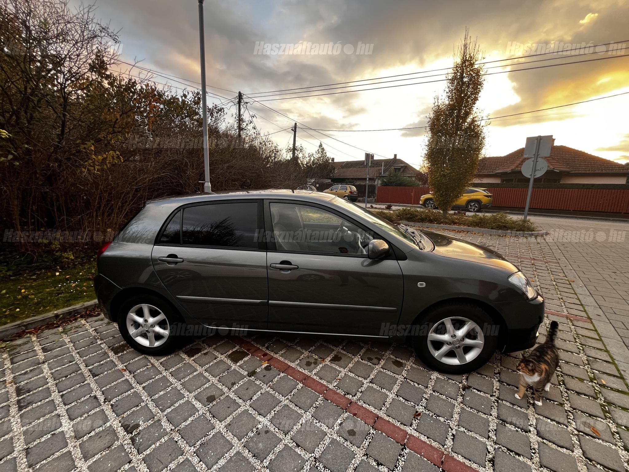 bónusz cica a képen :)