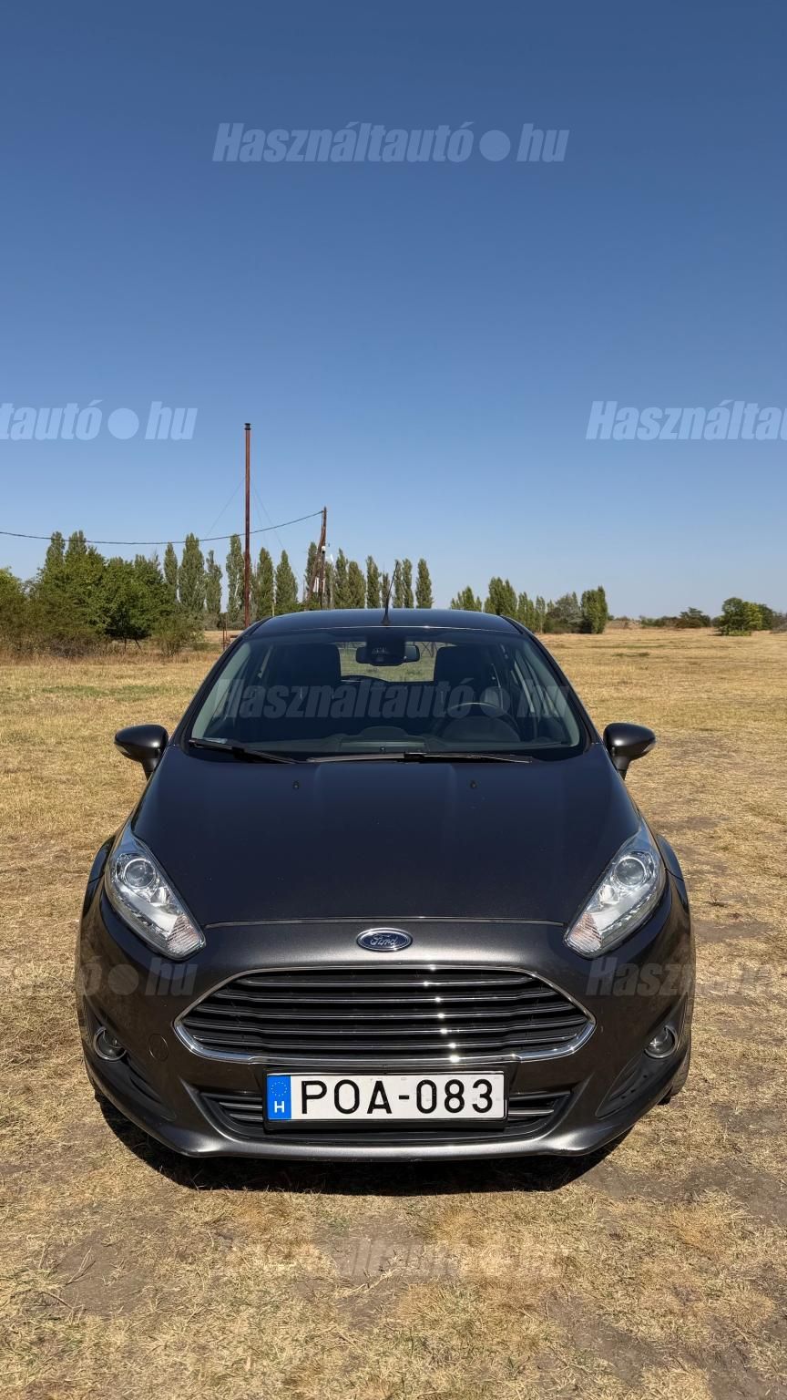 FORD FIESTA 2015/8 - 1