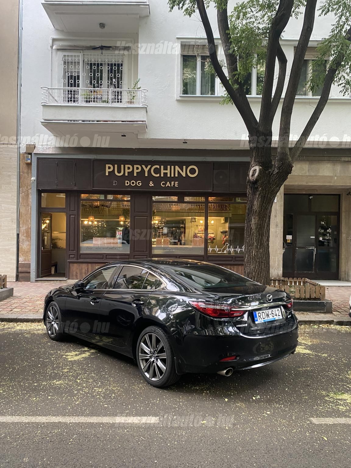 MAZDA 6 2018/11 - 1