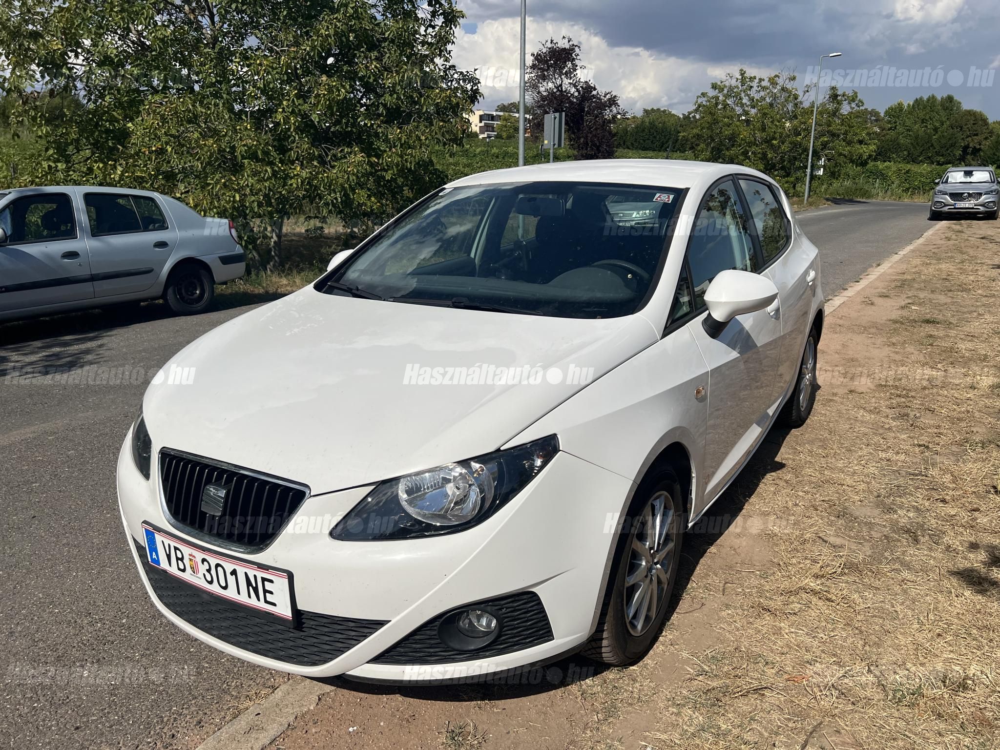 SEAT IBIZA 2011/11 - 1