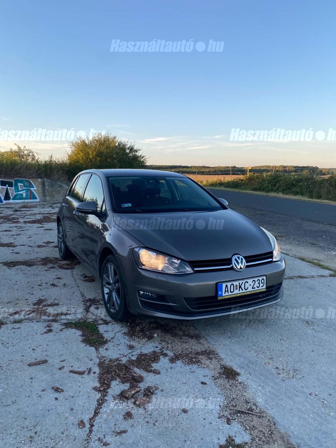 VOLKSWAGEN GOLF VII 2013/3 - 1
