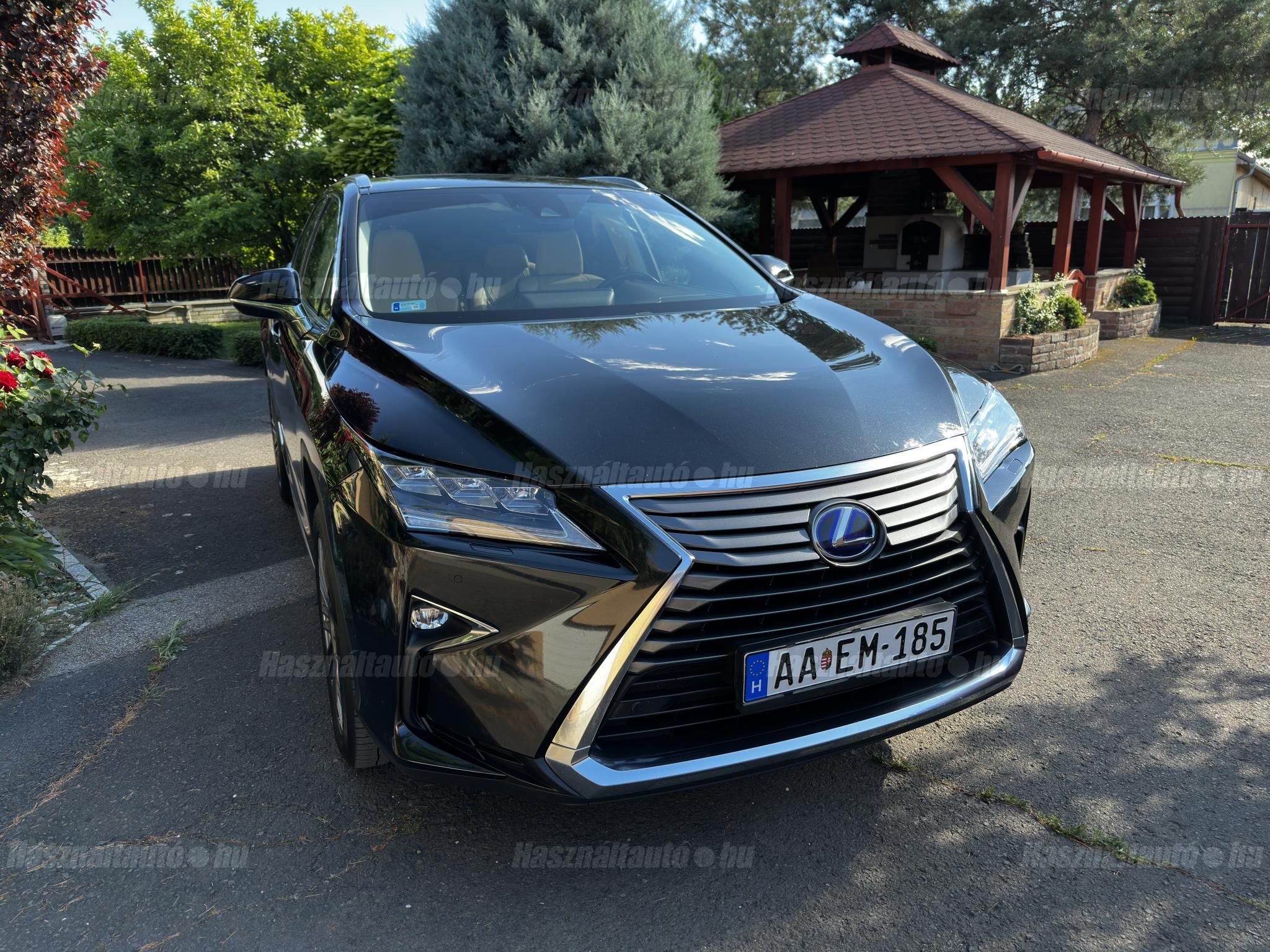 LEXUS RX 2017/2 - 1