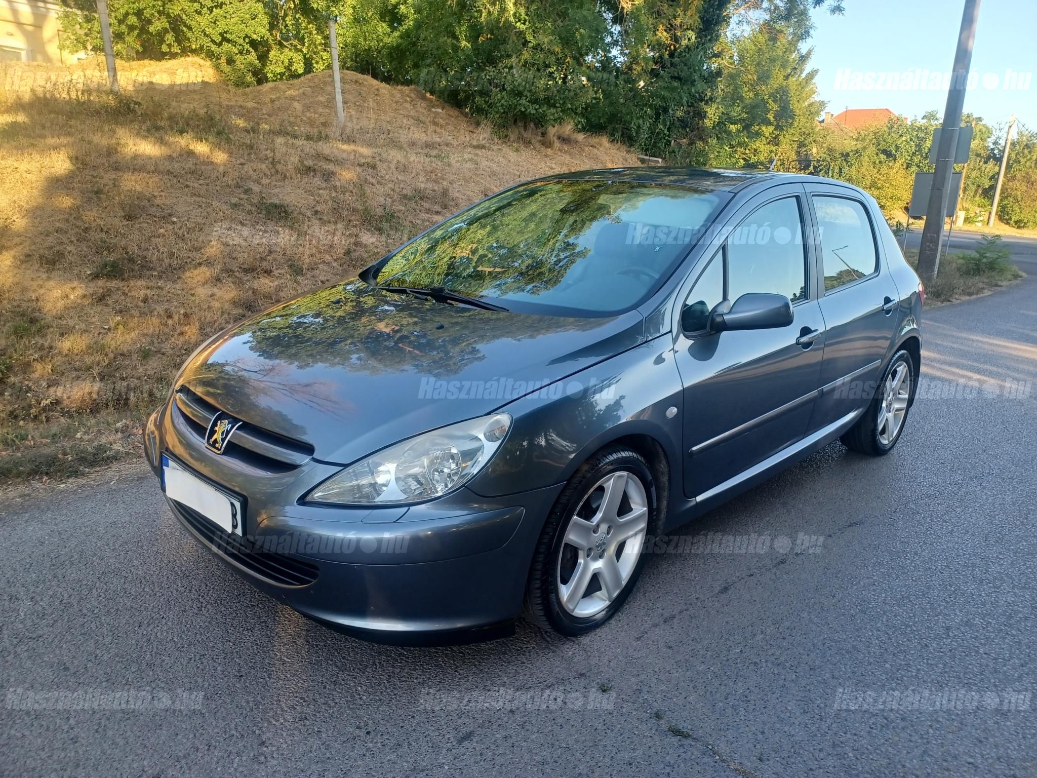 PEUGEOT 307 2004/5 - 1
