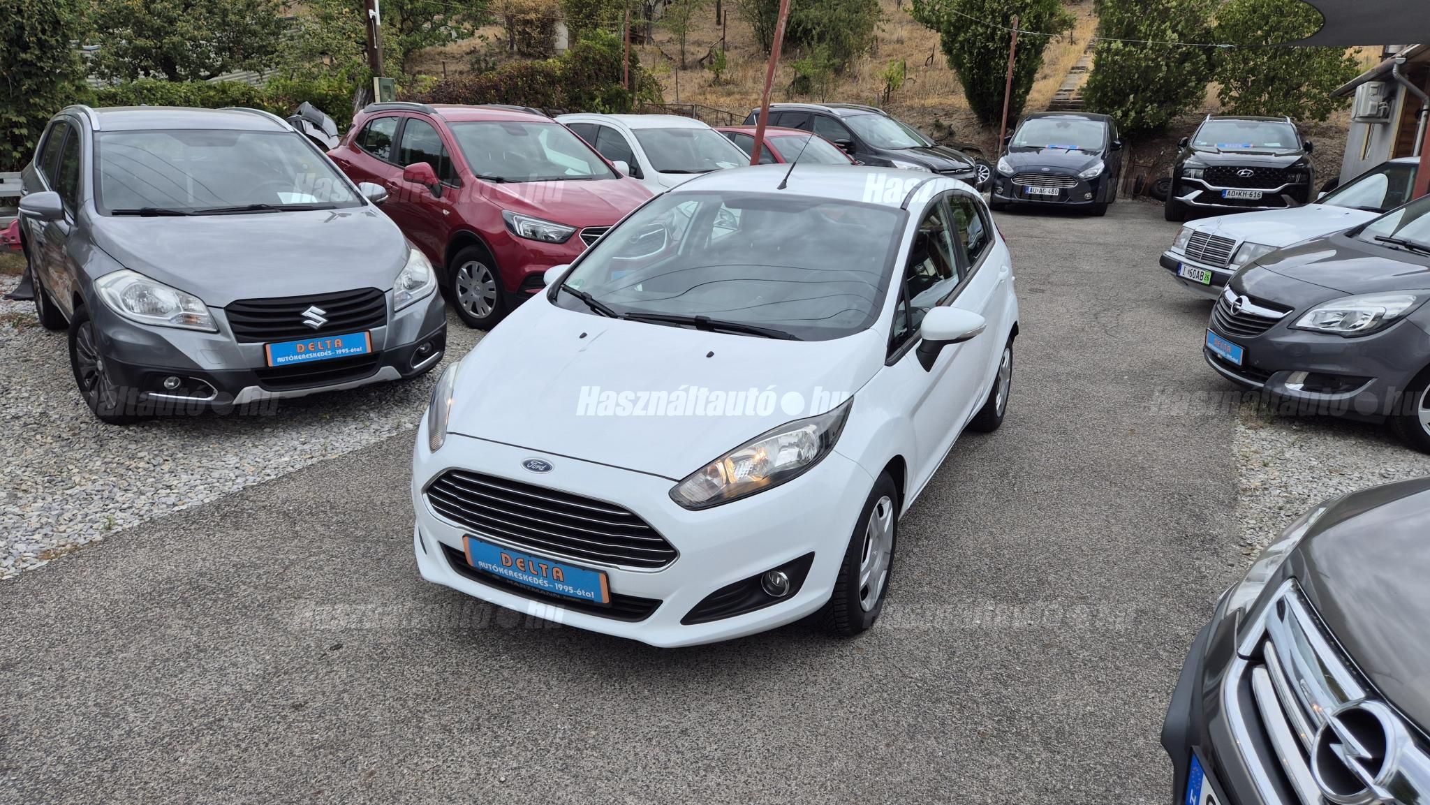 FORD FIESTA 2013/3 - 1