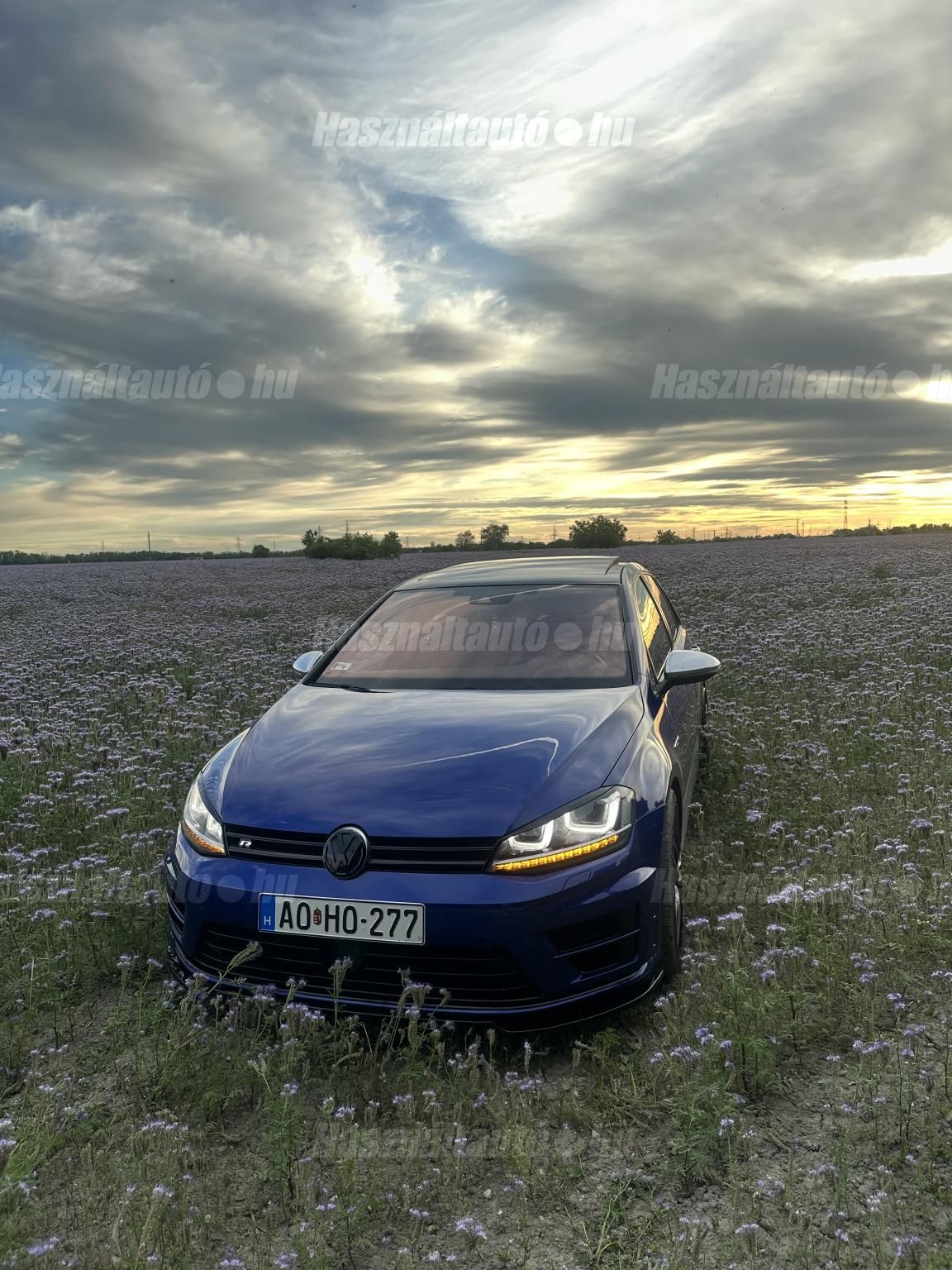 VOLKSWAGEN GOLF VII 2014 - 1