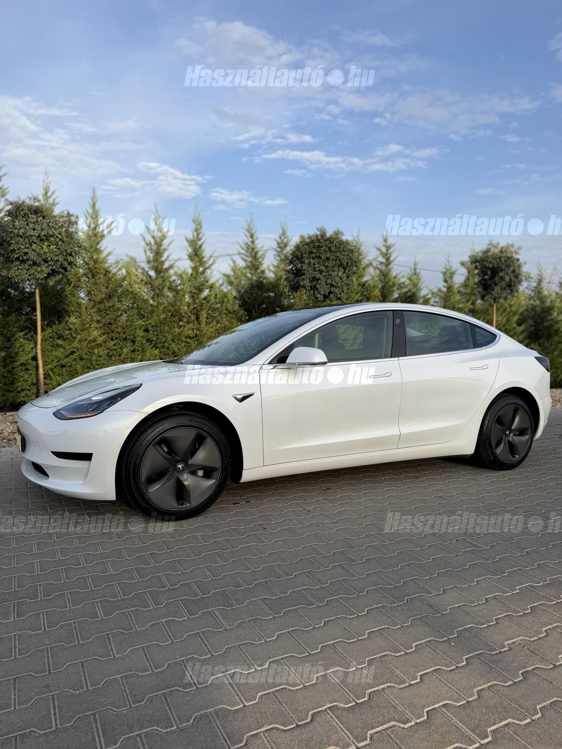 TESLA MODEL 3 2019/9 - 1
