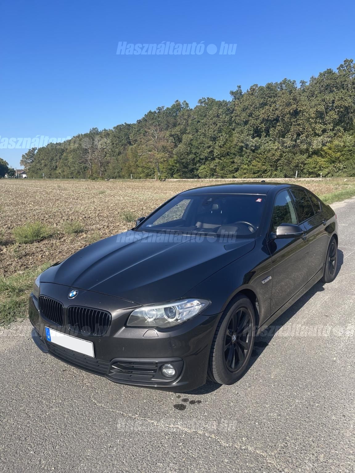 BMW 530 2014 - 1