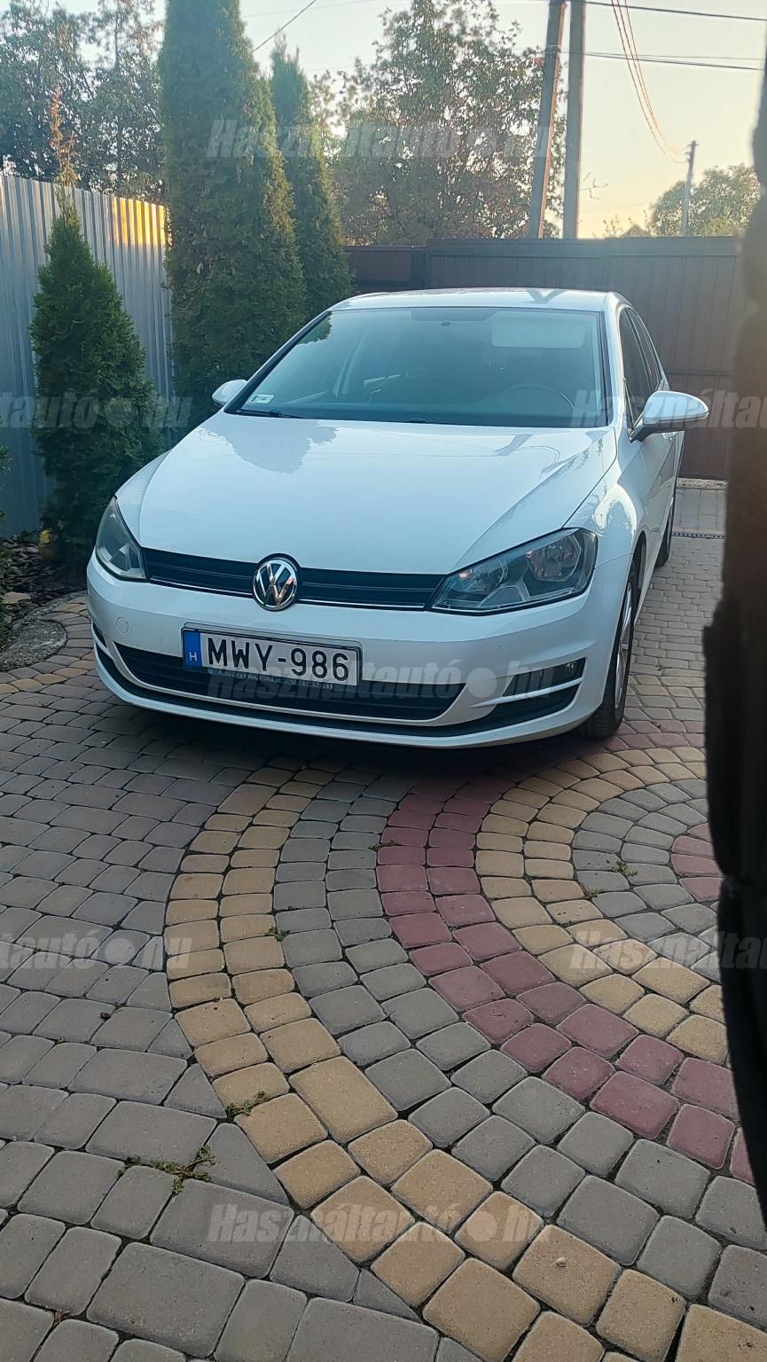 VOLKSWAGEN GOLF VII 2014/12 - 1