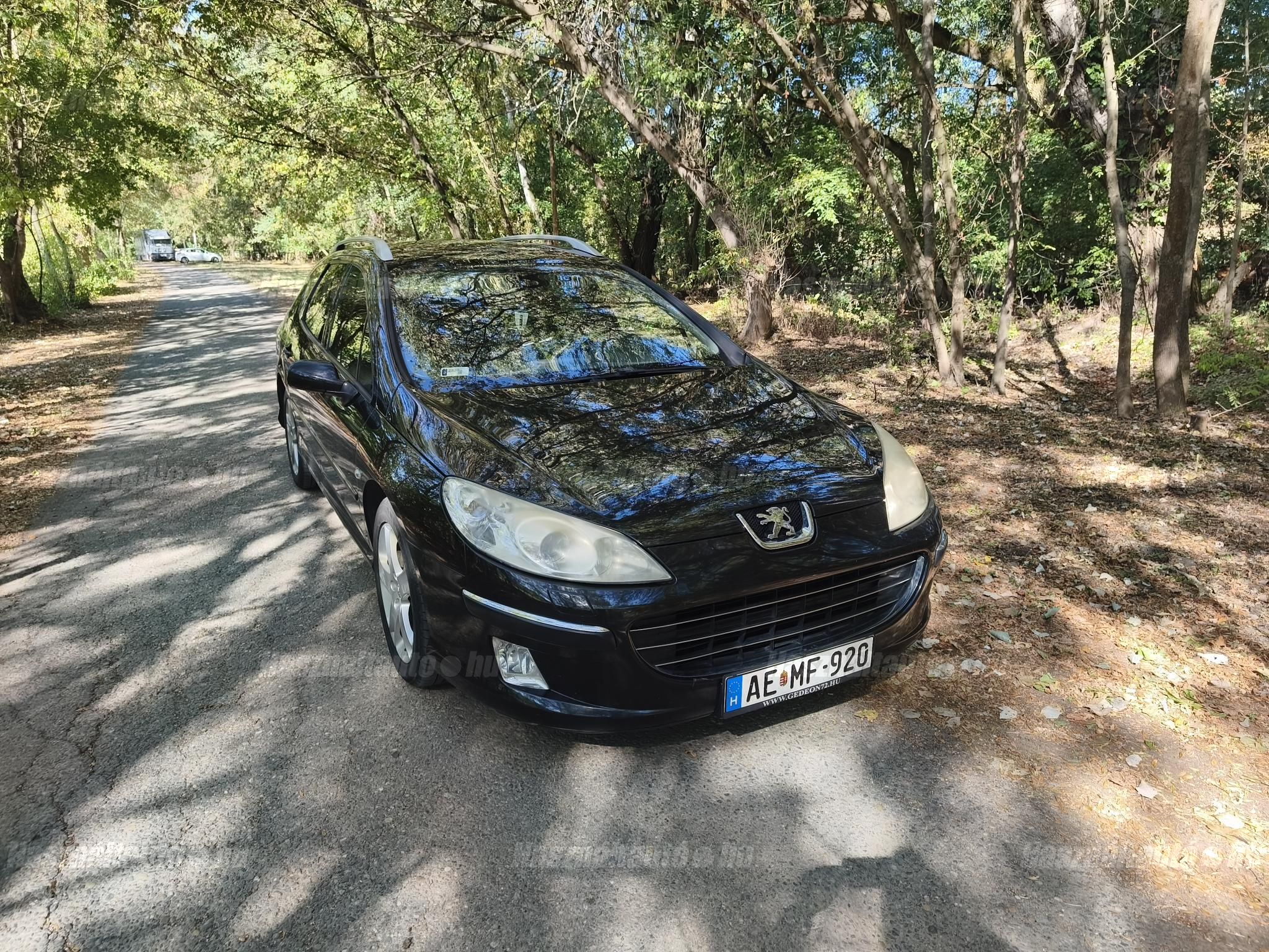 PEUGEOT 407 2007/6 - 1