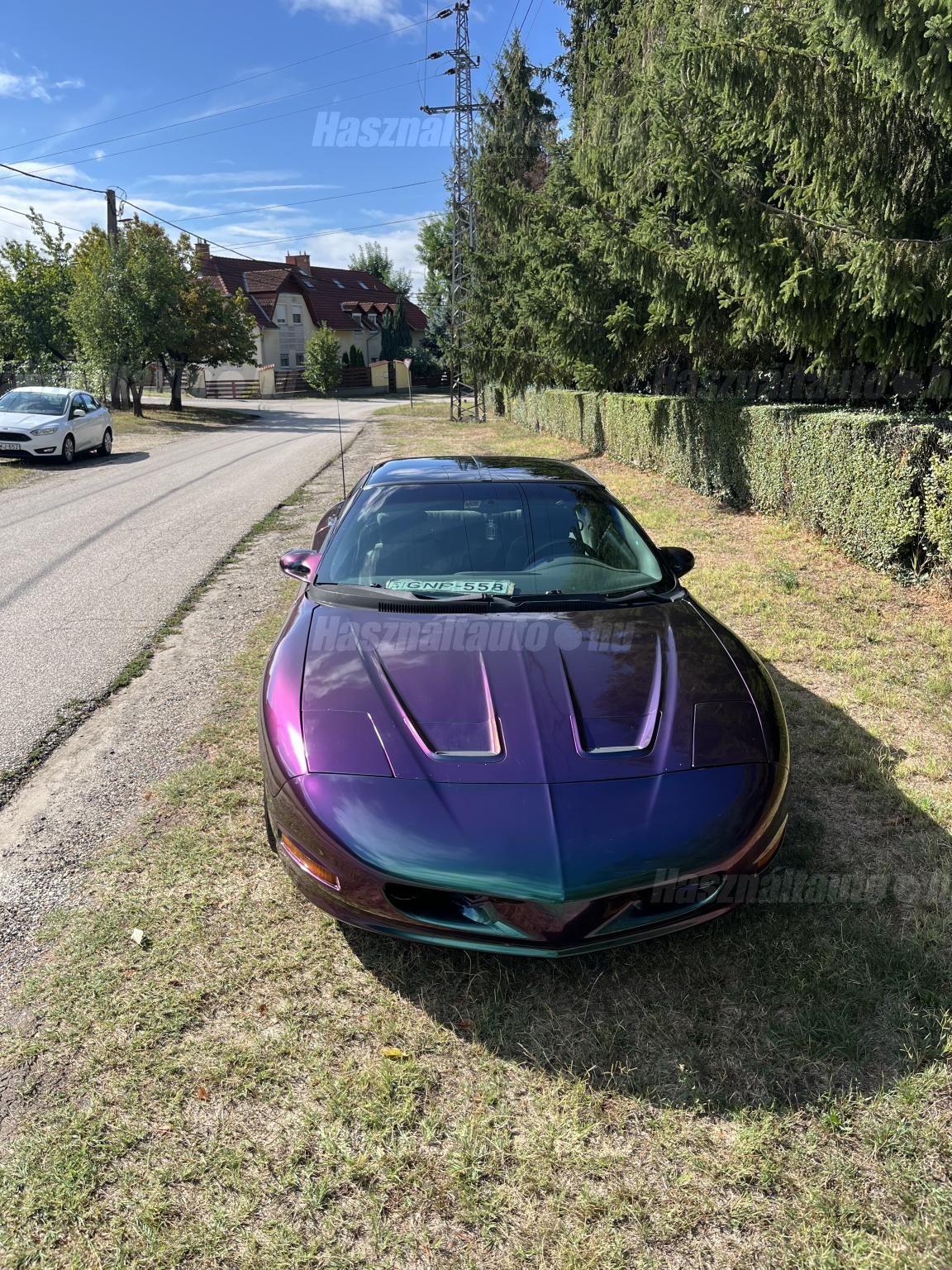 PONTIAC FIREBIRD 1996/5 - 1